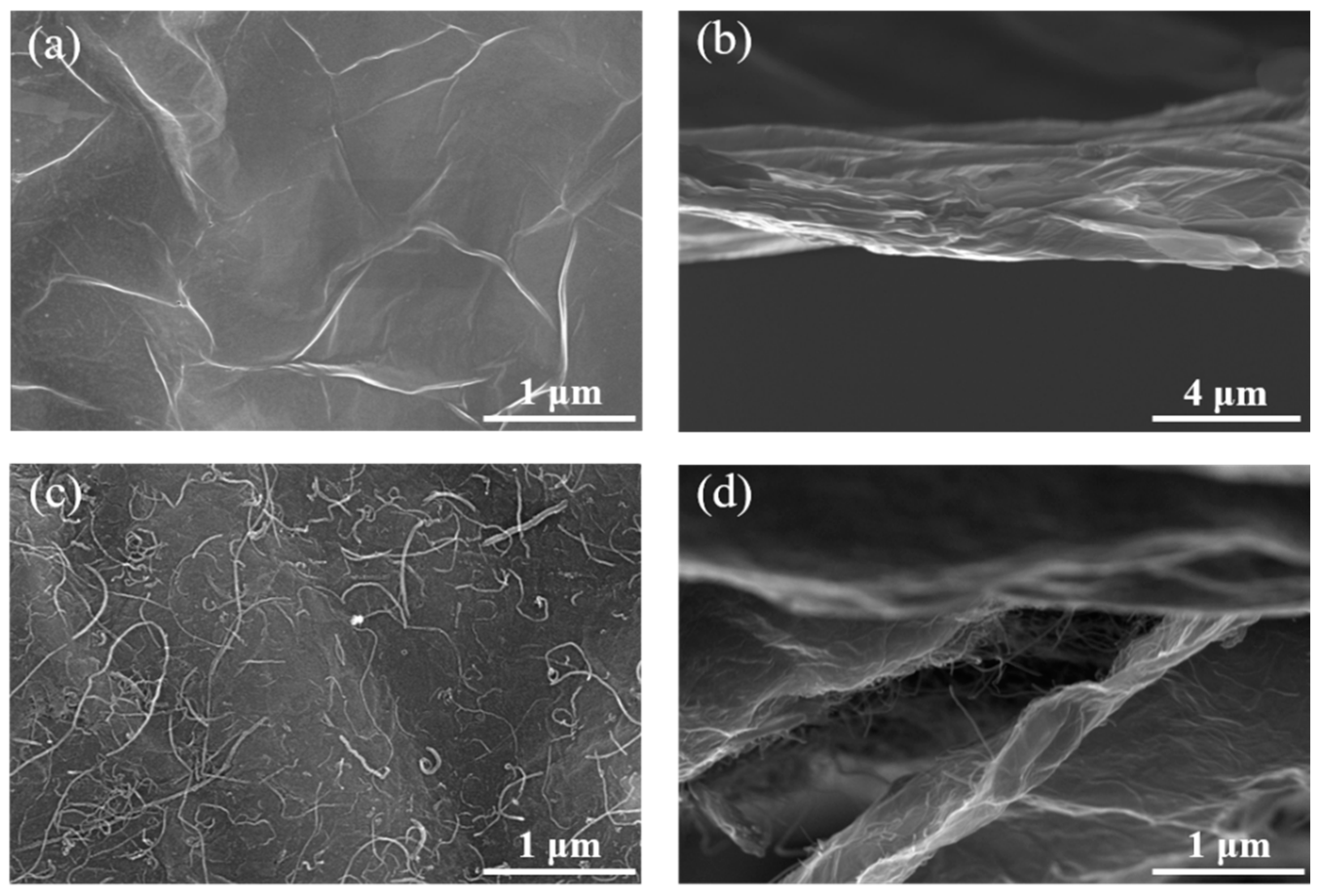 Energies 16 01378 g002 Energies 16 01378 g002