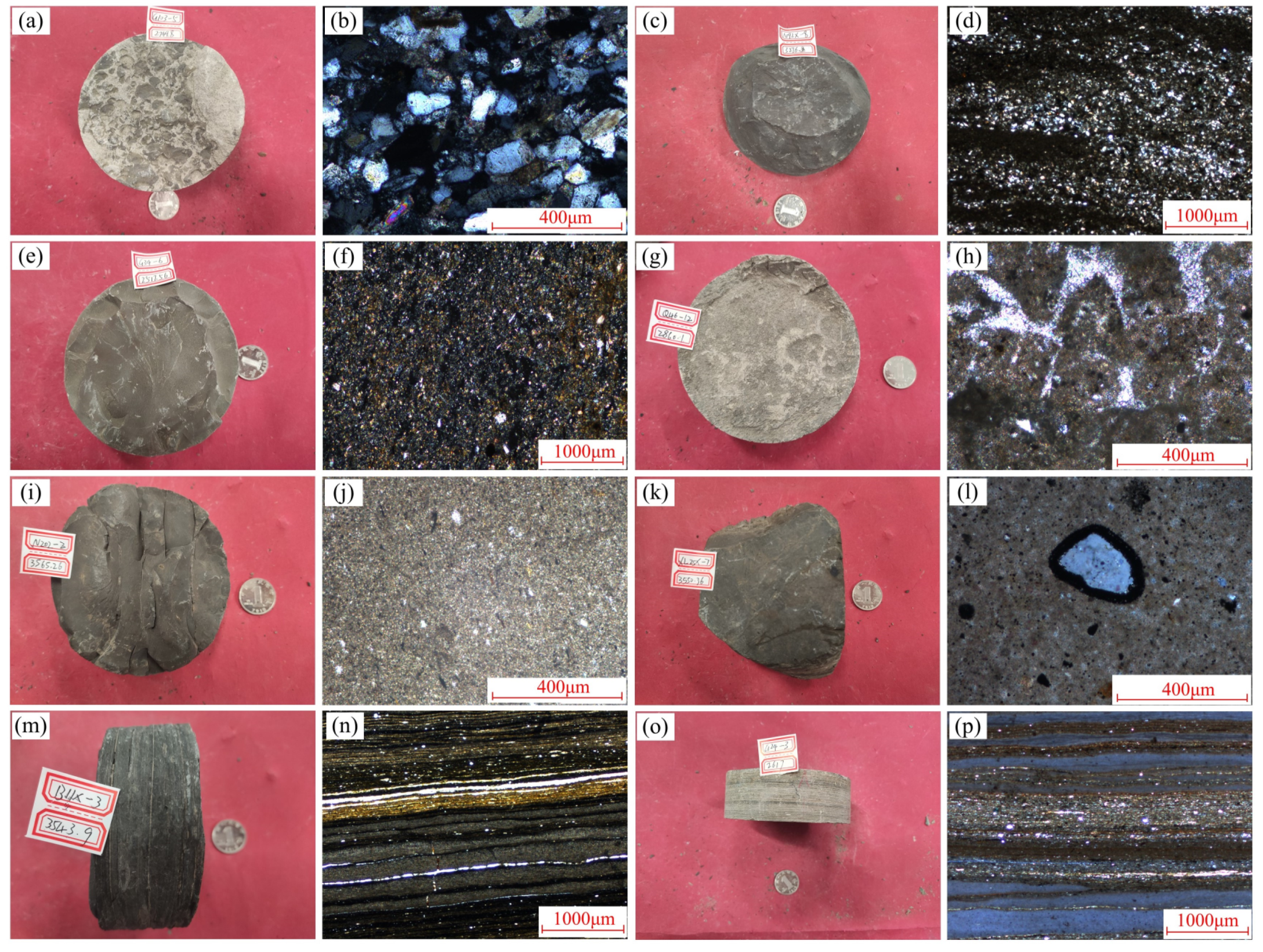 Energies 16 01748 g002 Energies 16 01748 g002