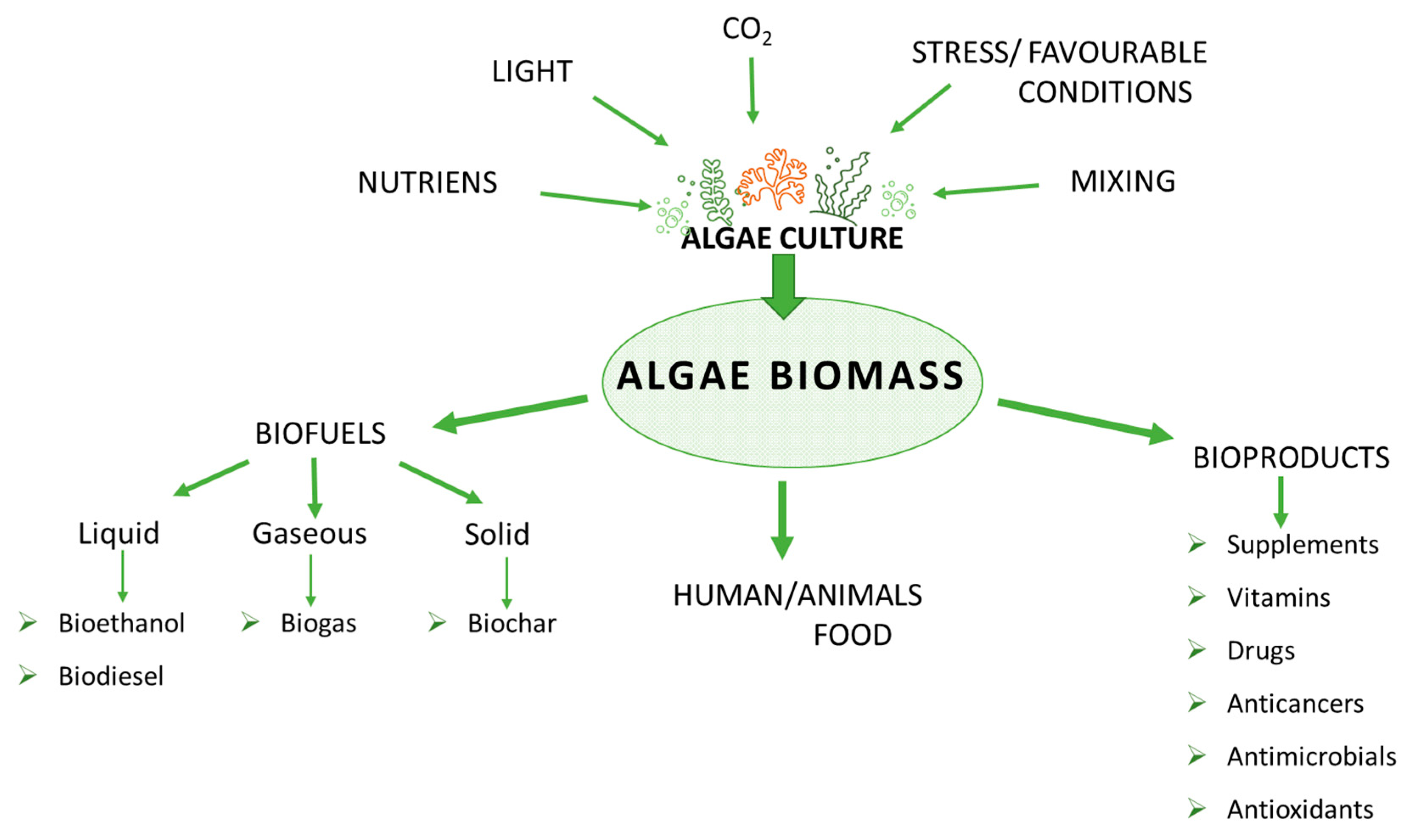 Energies 16 01758 g001