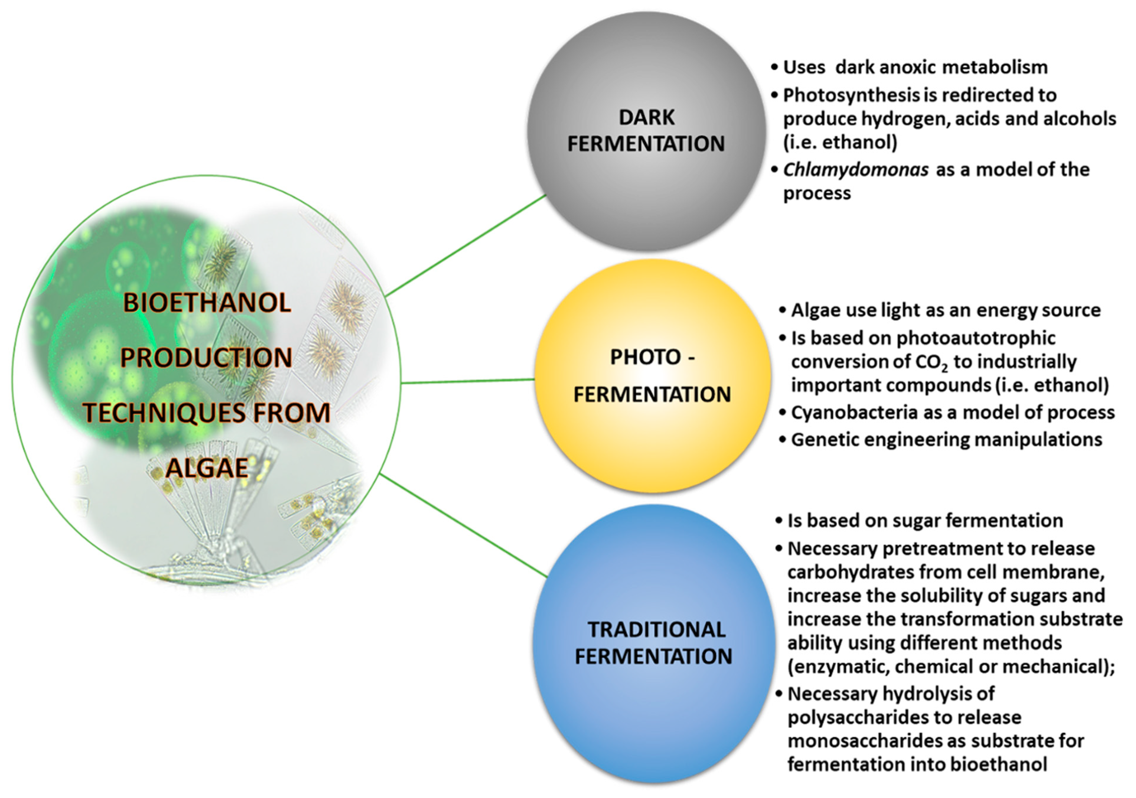 Energies 16 01758 g004