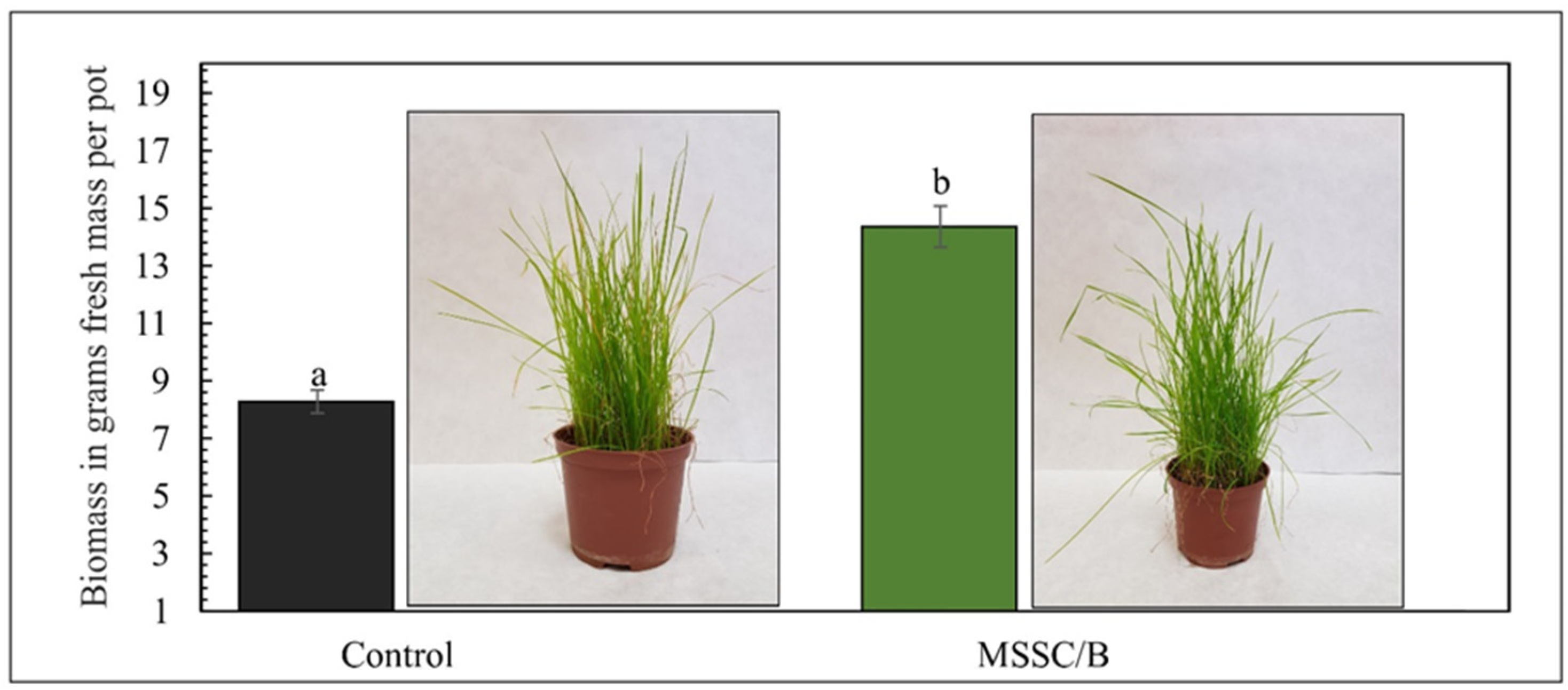 Energies 16 01778 g001