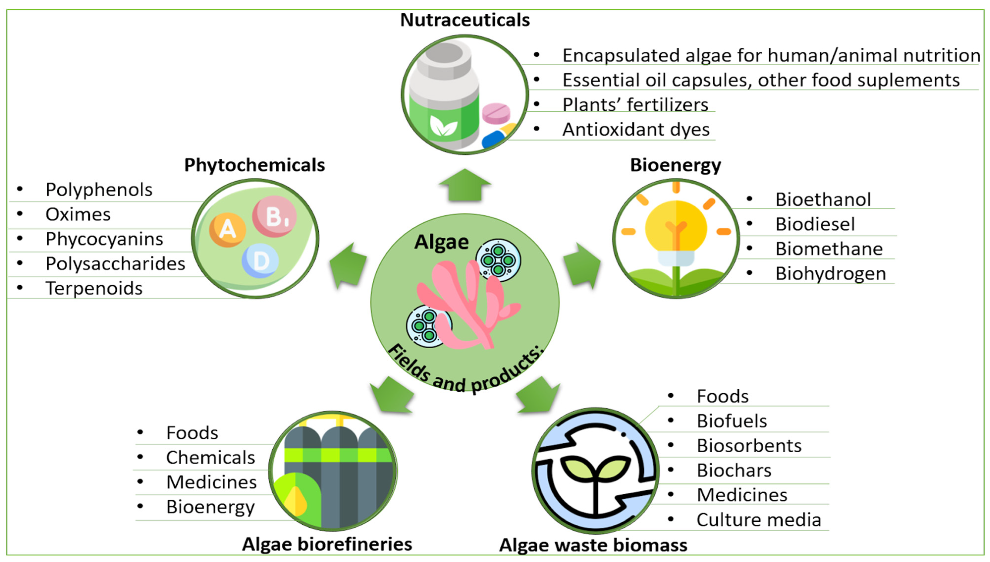 Energies 16 01820 g002