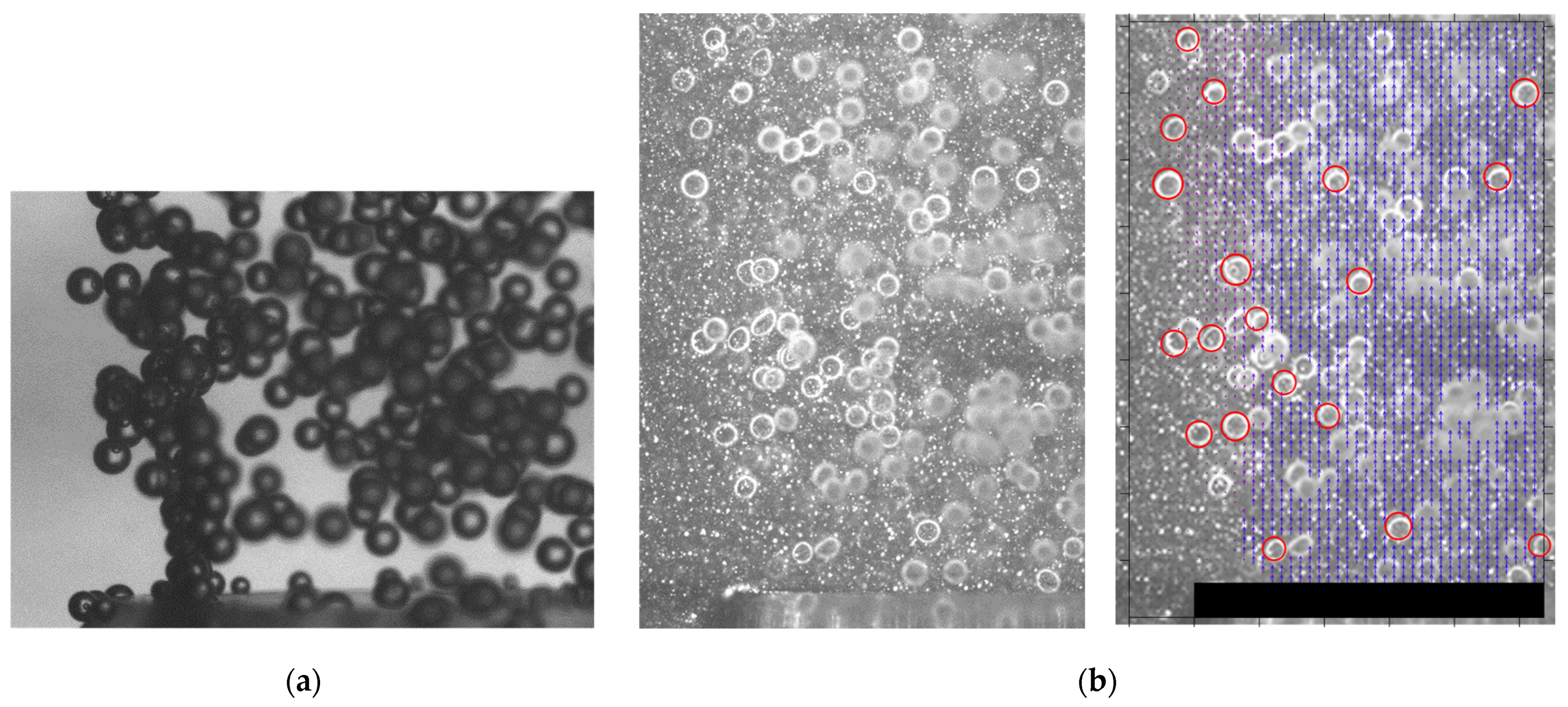 Energies 16 01877 g008