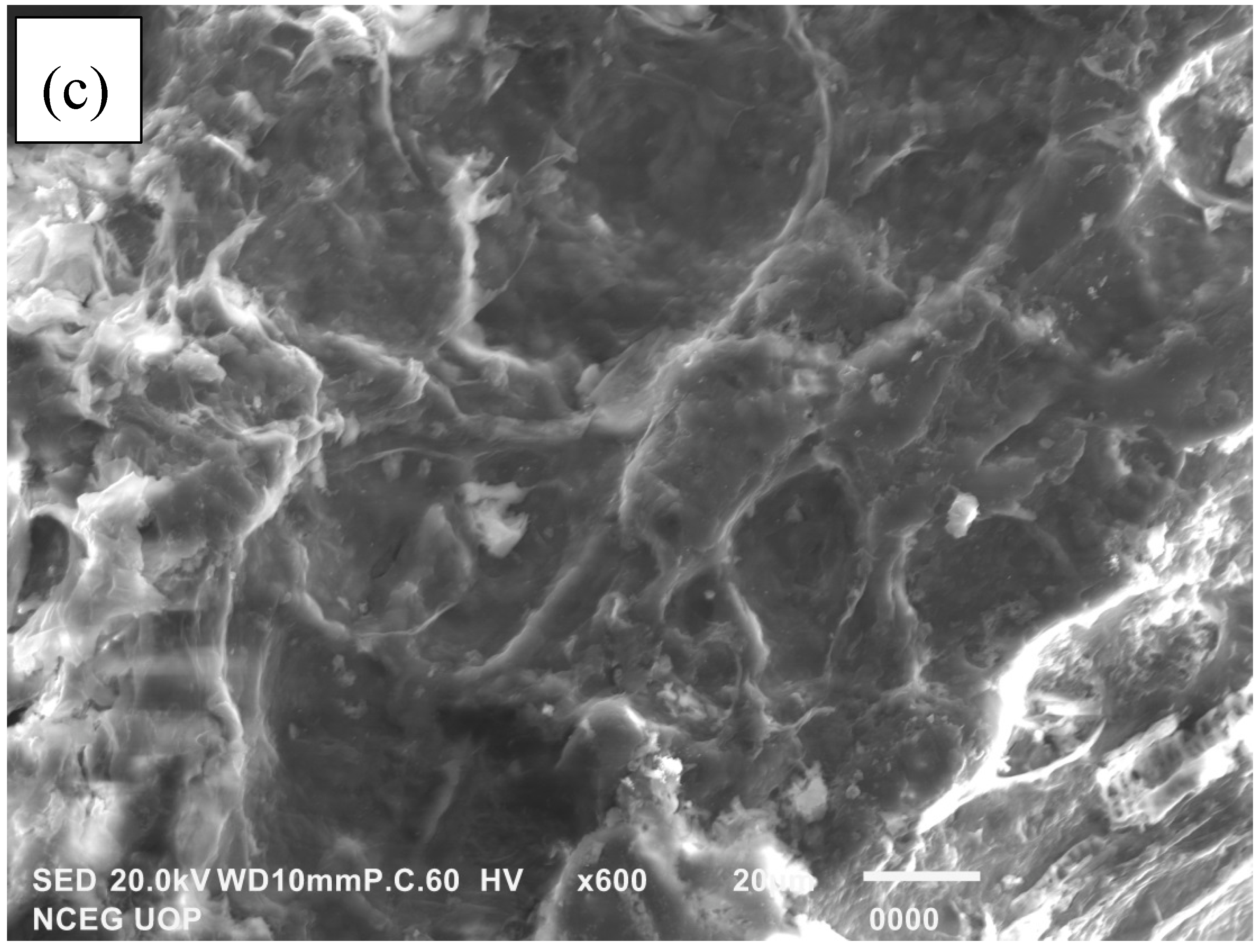 Energies 16 01908 g005b