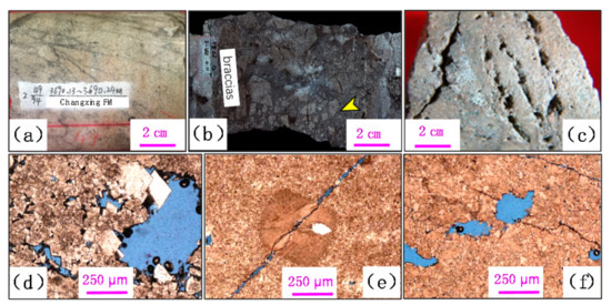 The Fractured Permian Reservoir and Its Significance in the The Fractured Permian Reservoir and Its Significance in the