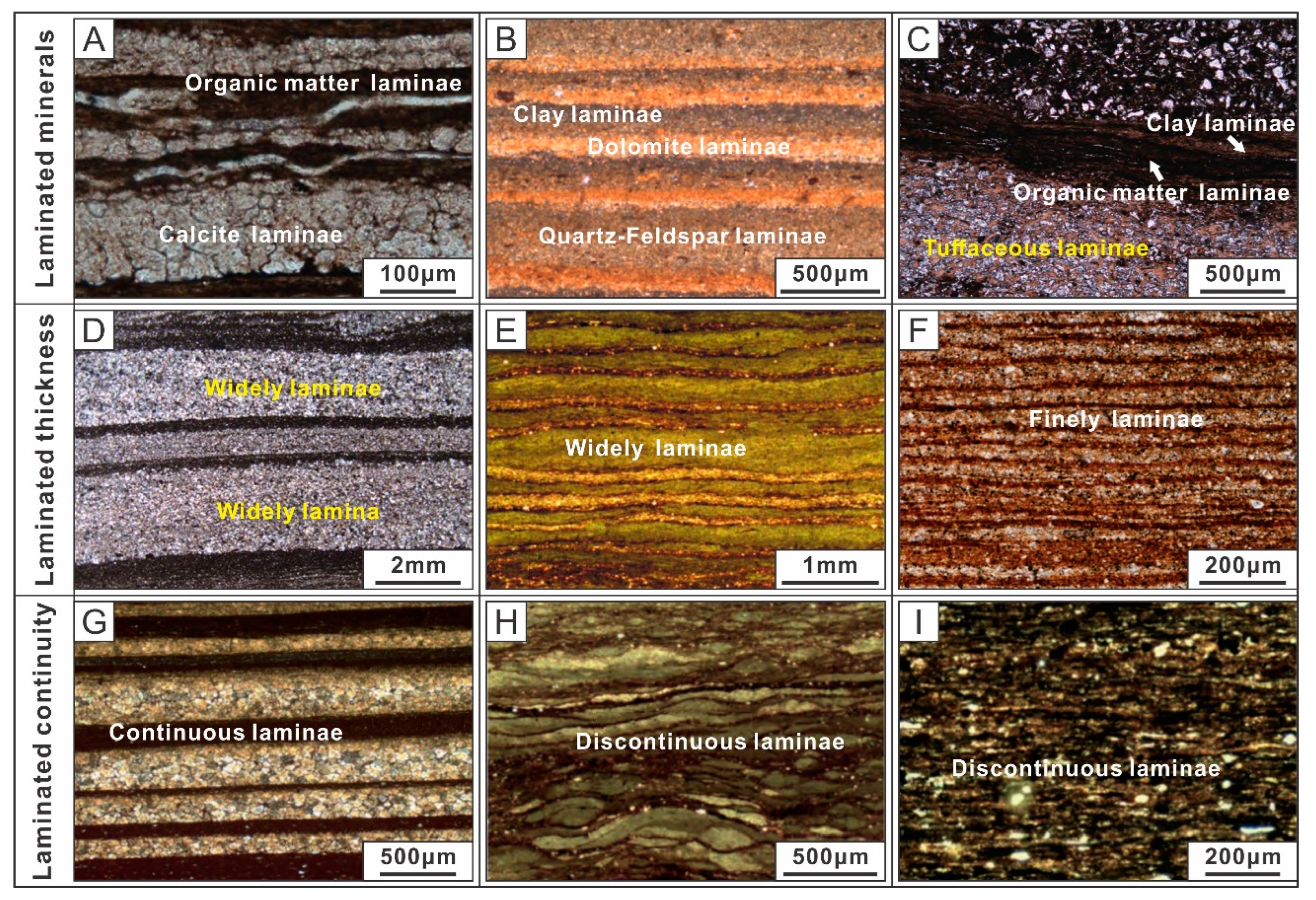 Energies 16 01987 g001