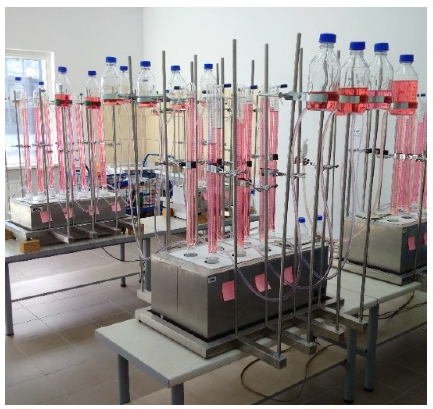 Energies 16 02105 g001 Energies 16 02105 g001