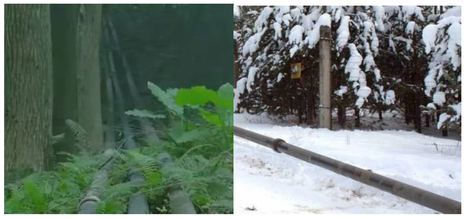 Energies 16 02174 g001