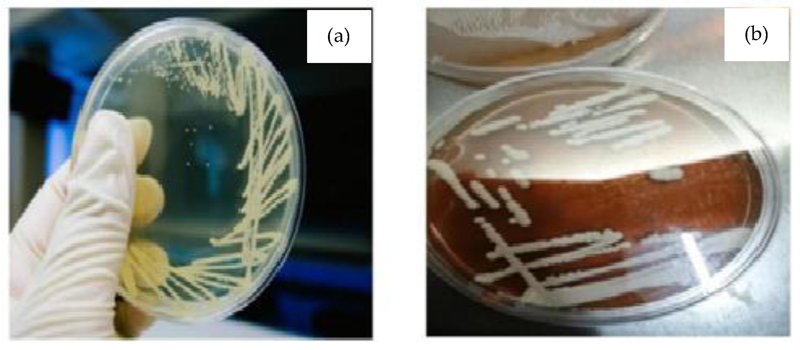 Energies 16 02181 g002 Energies 16 02181 g002