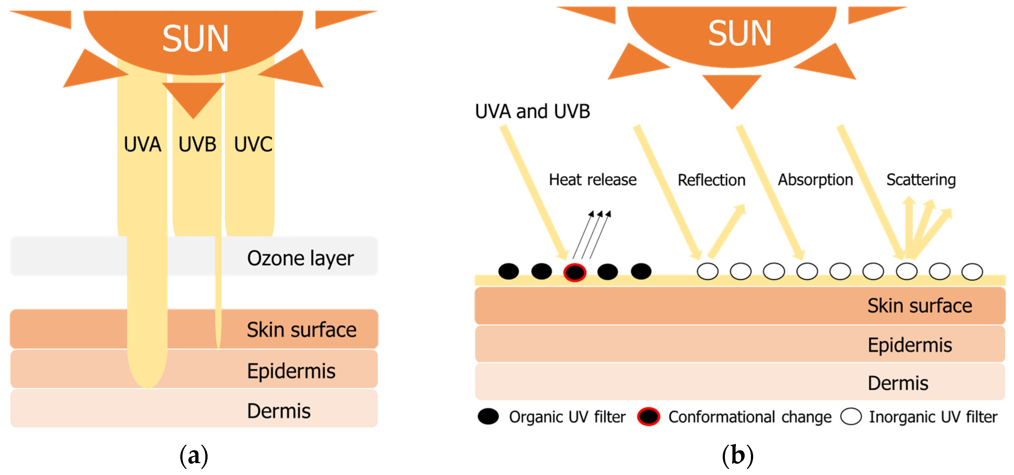Identification of Transformation Products of Organic UV Filters by