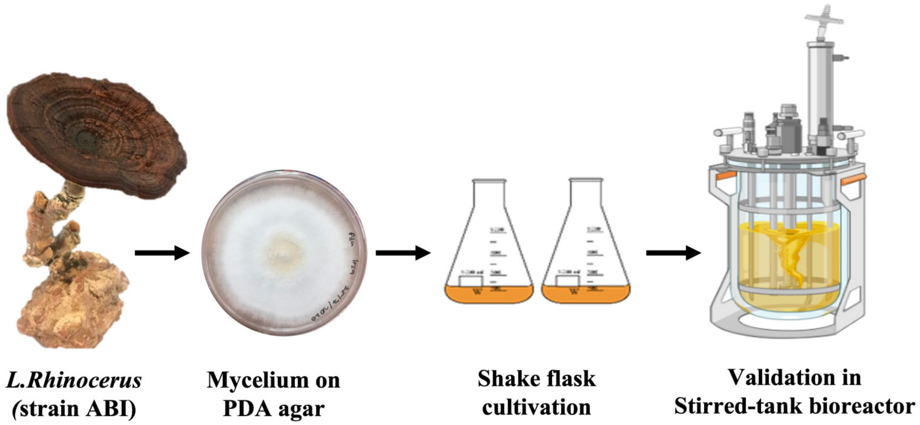 Energies 16 02330 g001