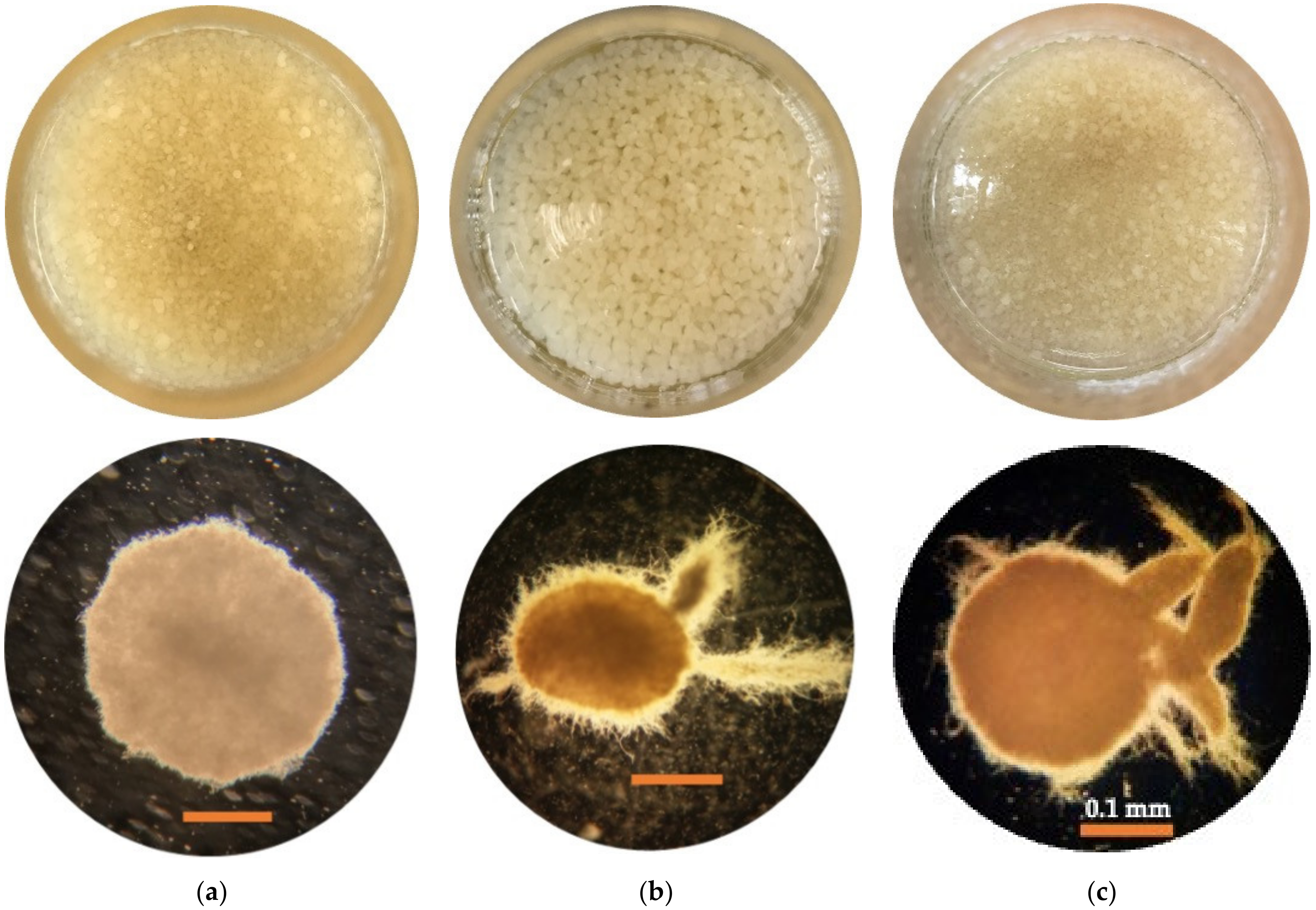 Energies 16 02330 g006