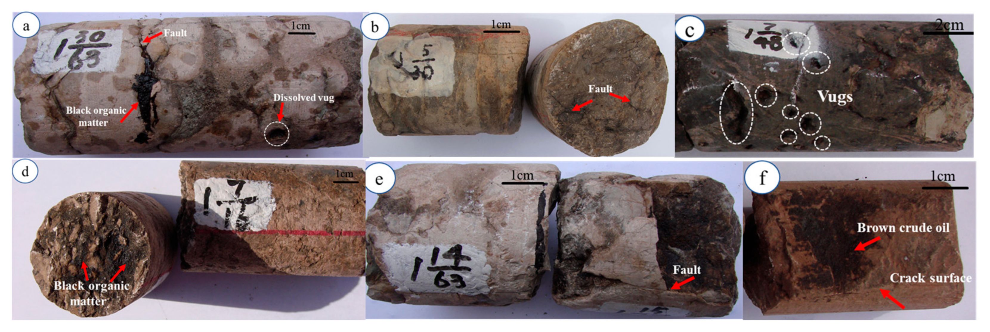 Energies 16 02370 g011