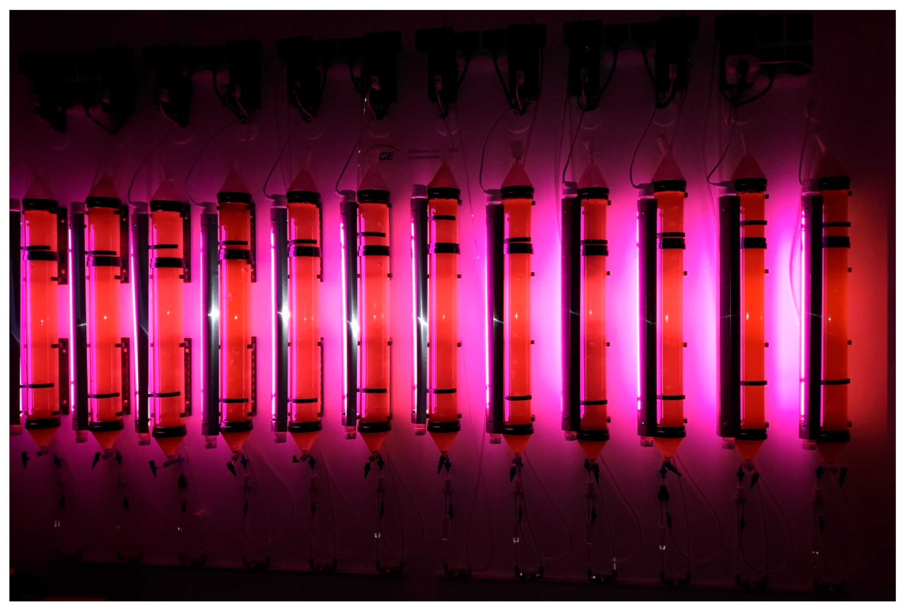 Energies 16 02429 g001 Energies 16 02429 g001