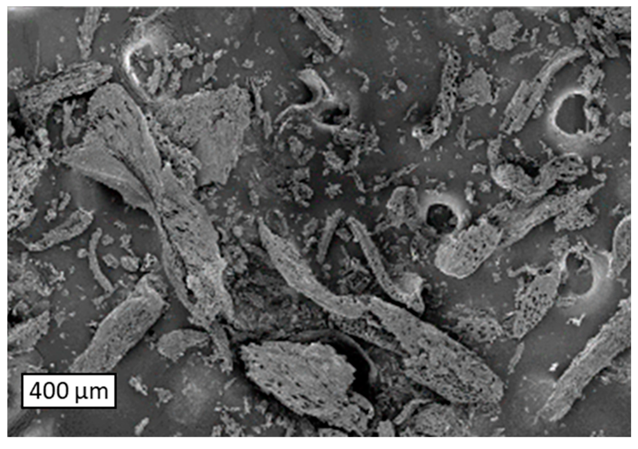 Energies 16 02437 g002