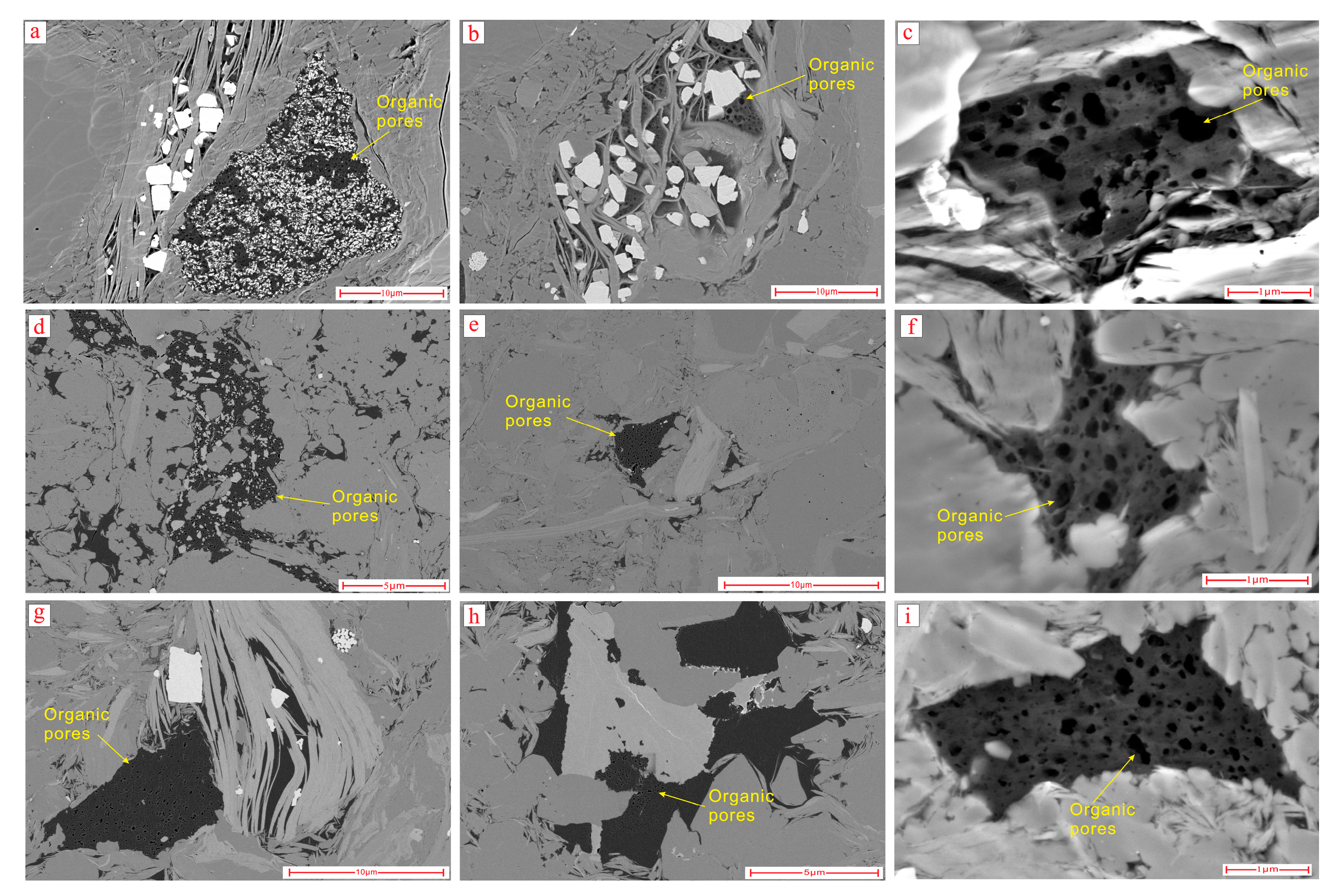 Energies 16 02533 g010 Energies 16 02533 g010