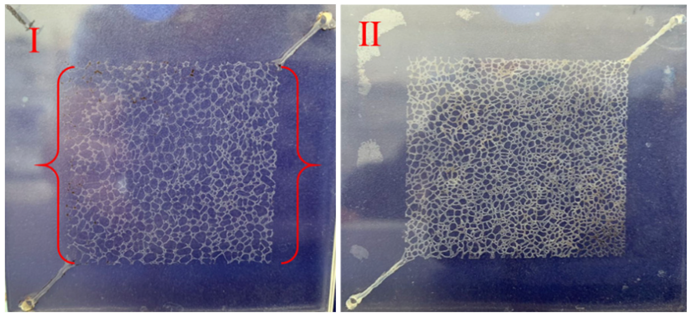 Energies 16 02538 g001