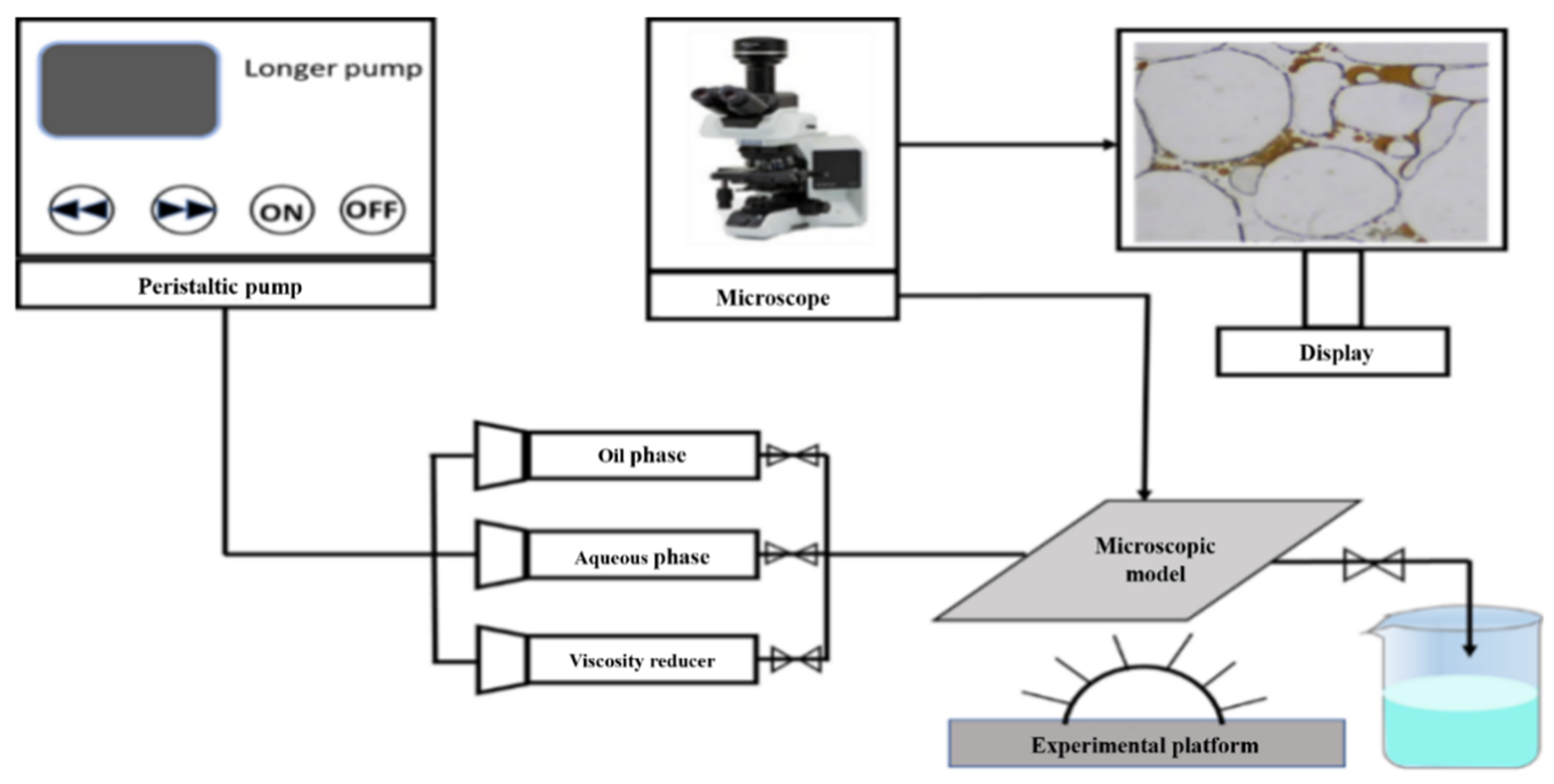 Energies 16 02538 g002