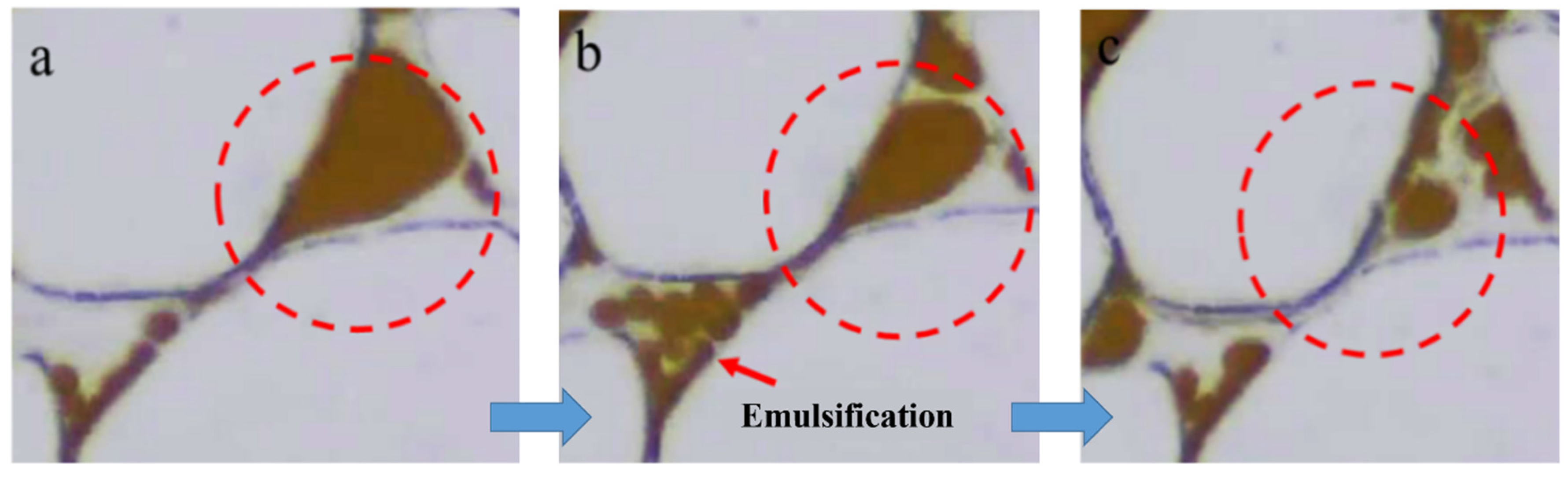 Energies 16 02538 g004