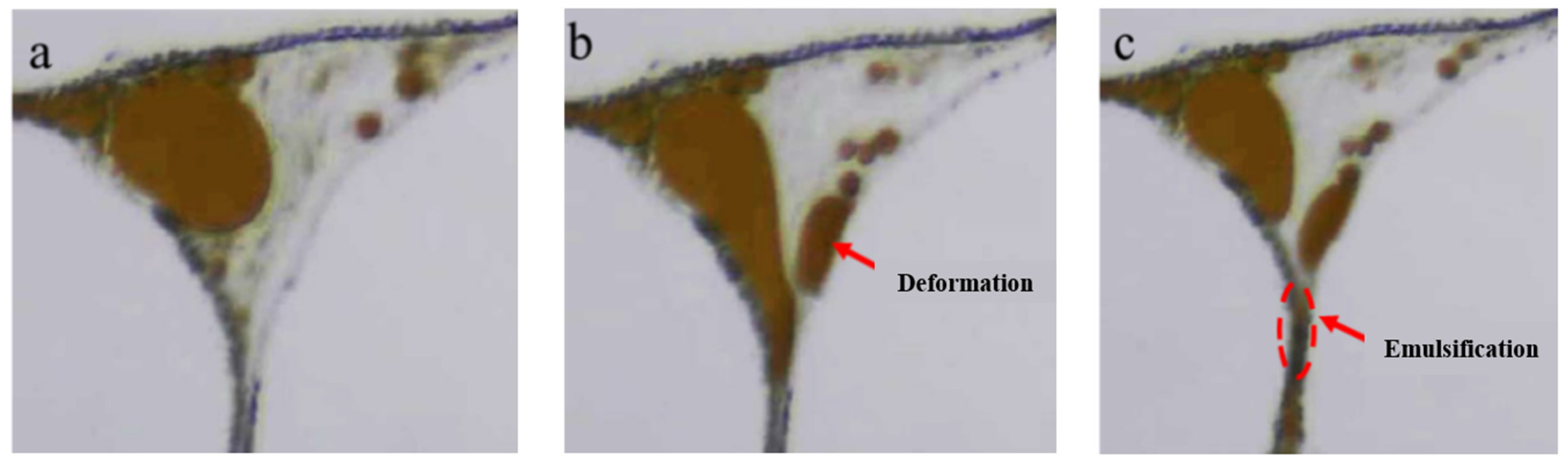 Energies 16 02538 g006