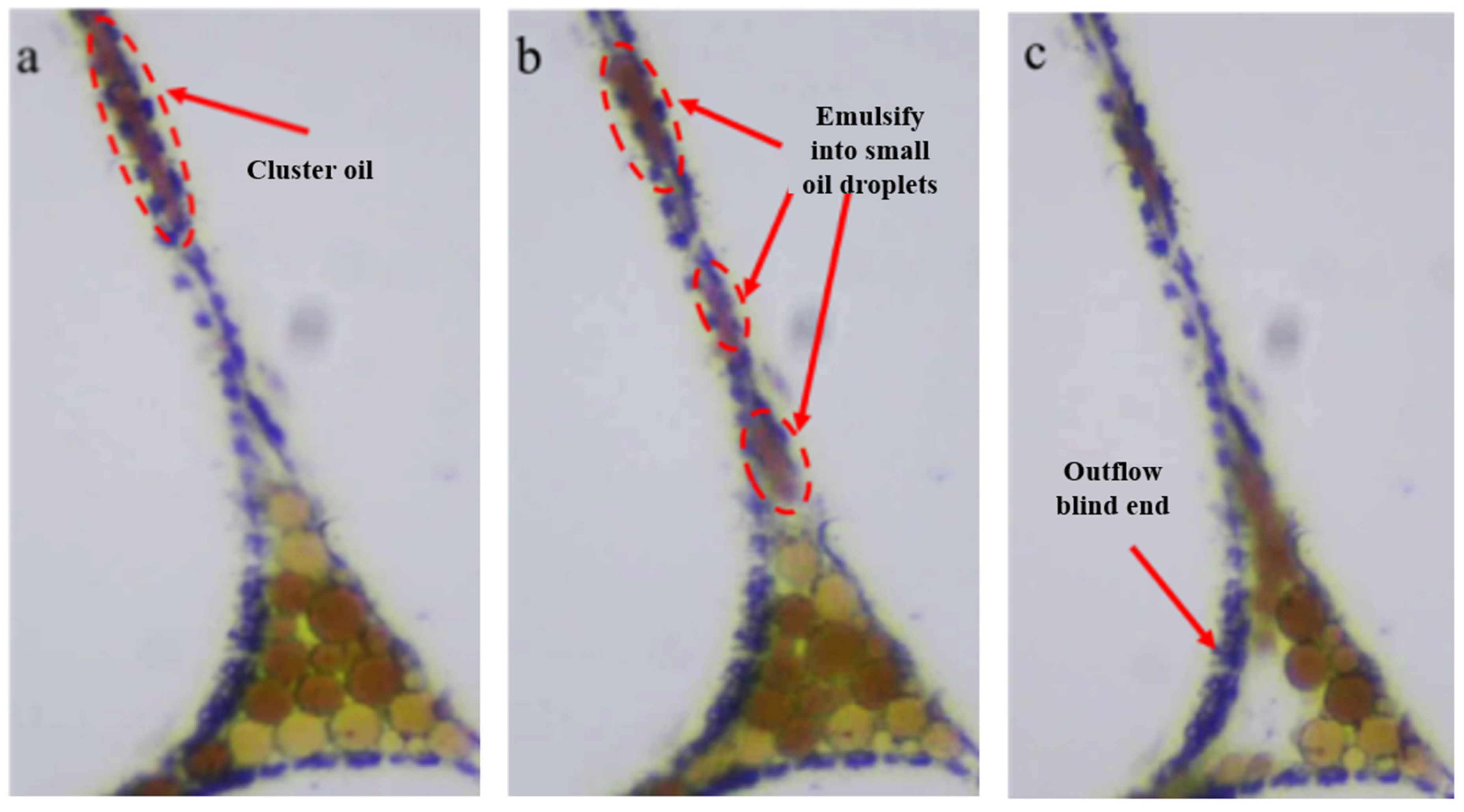 Energies 16 02538 g008