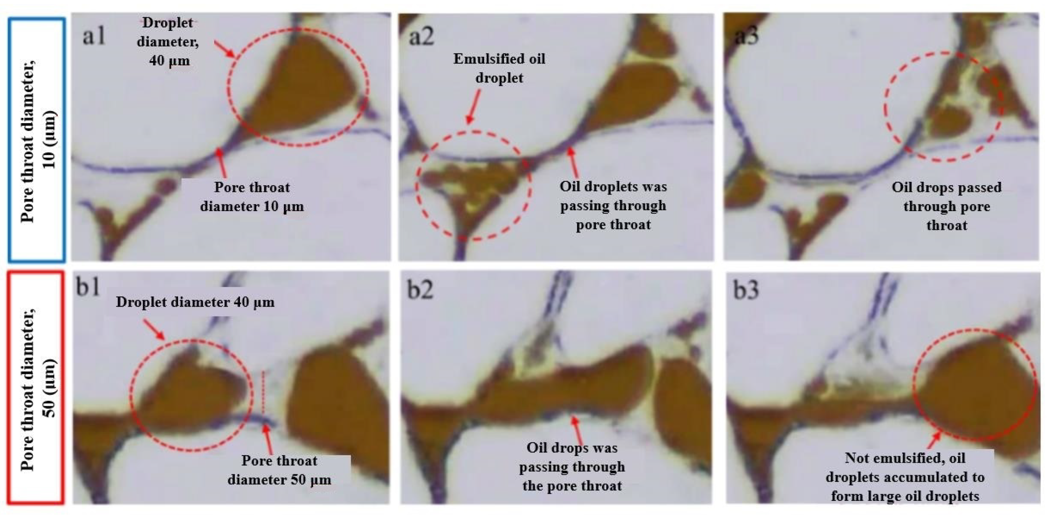Energies 16 02538 g012