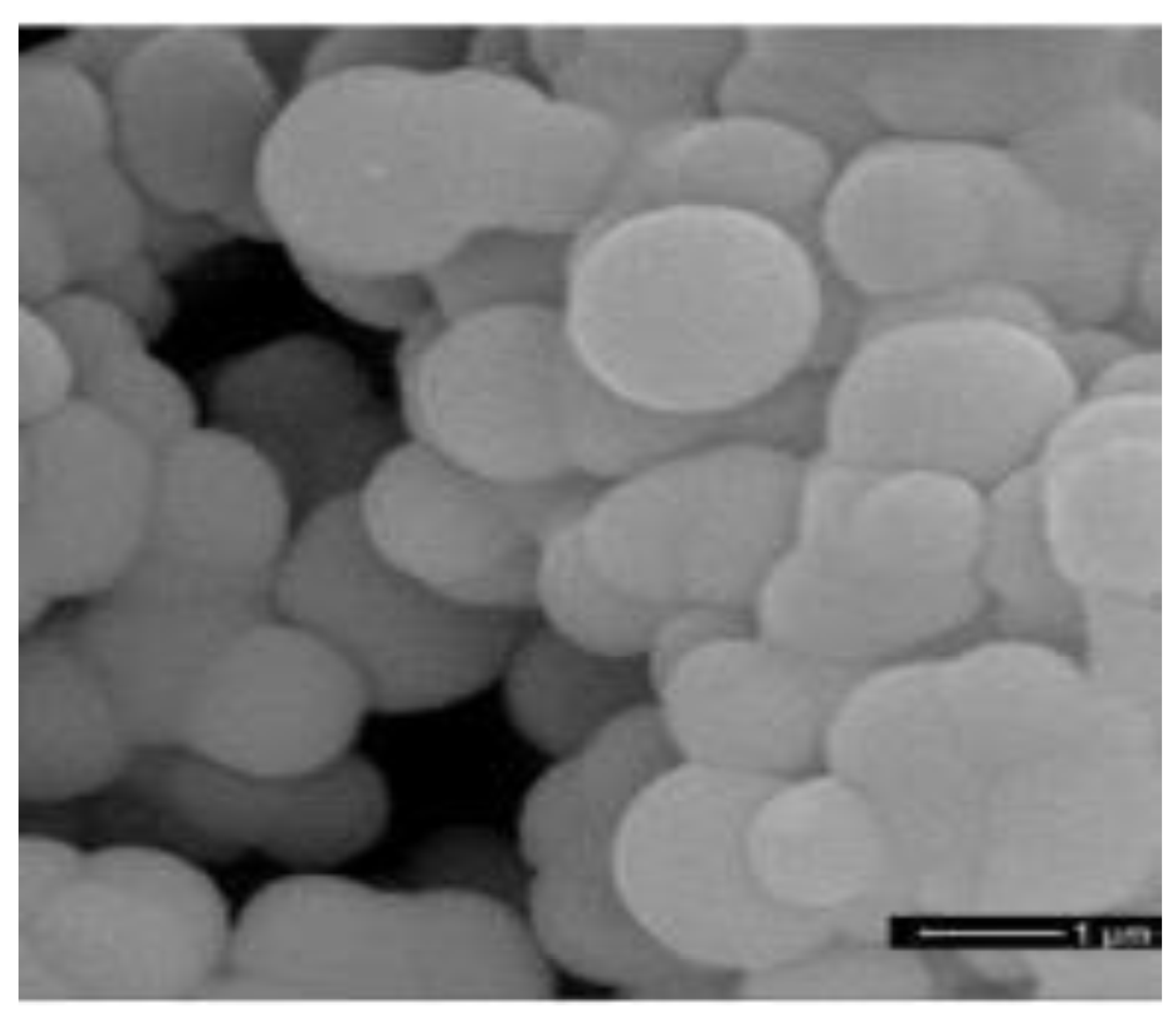 Energies 16 02676 g010