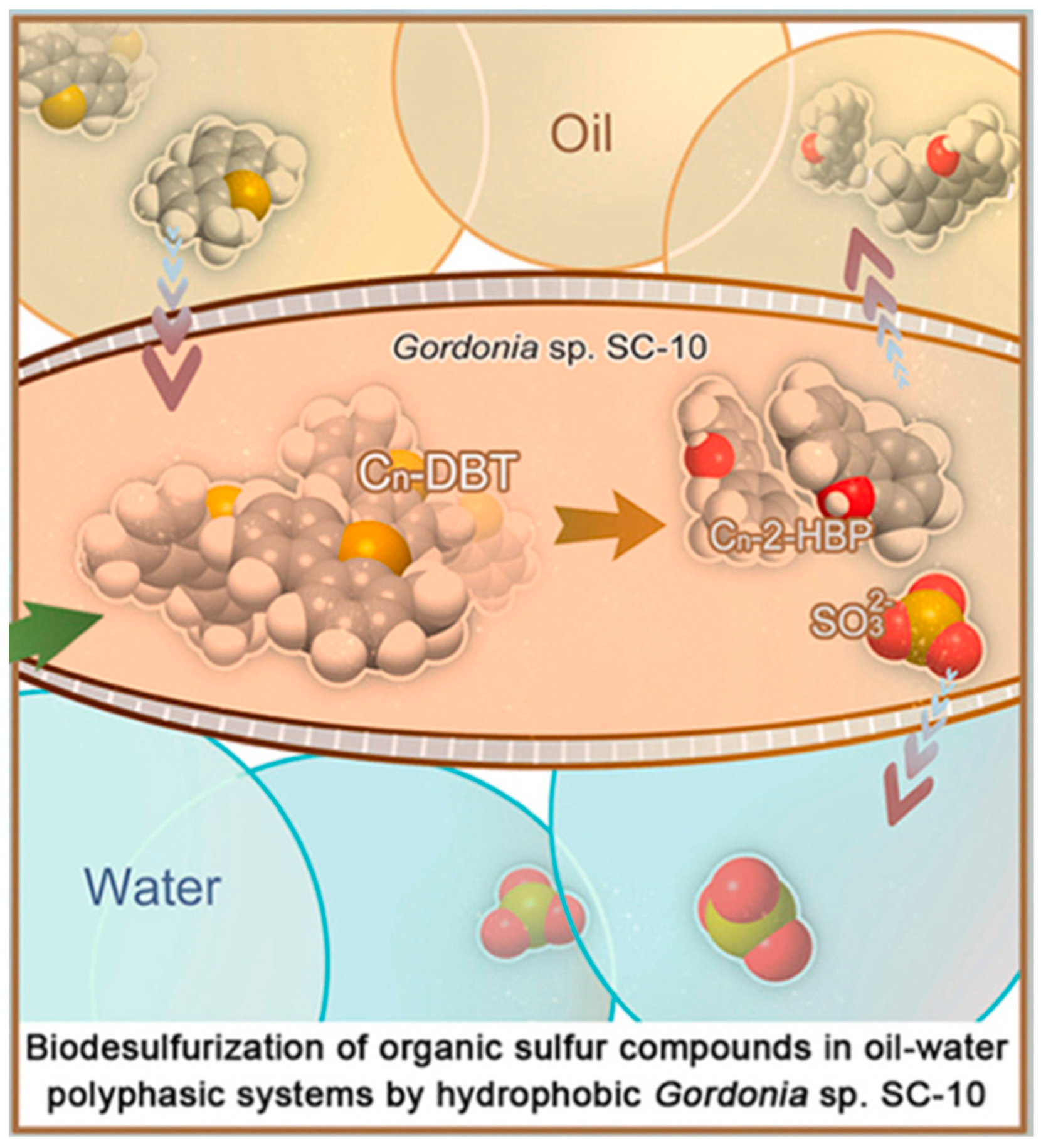 Energies 16 02738 g004 Energies 16 02738 g004