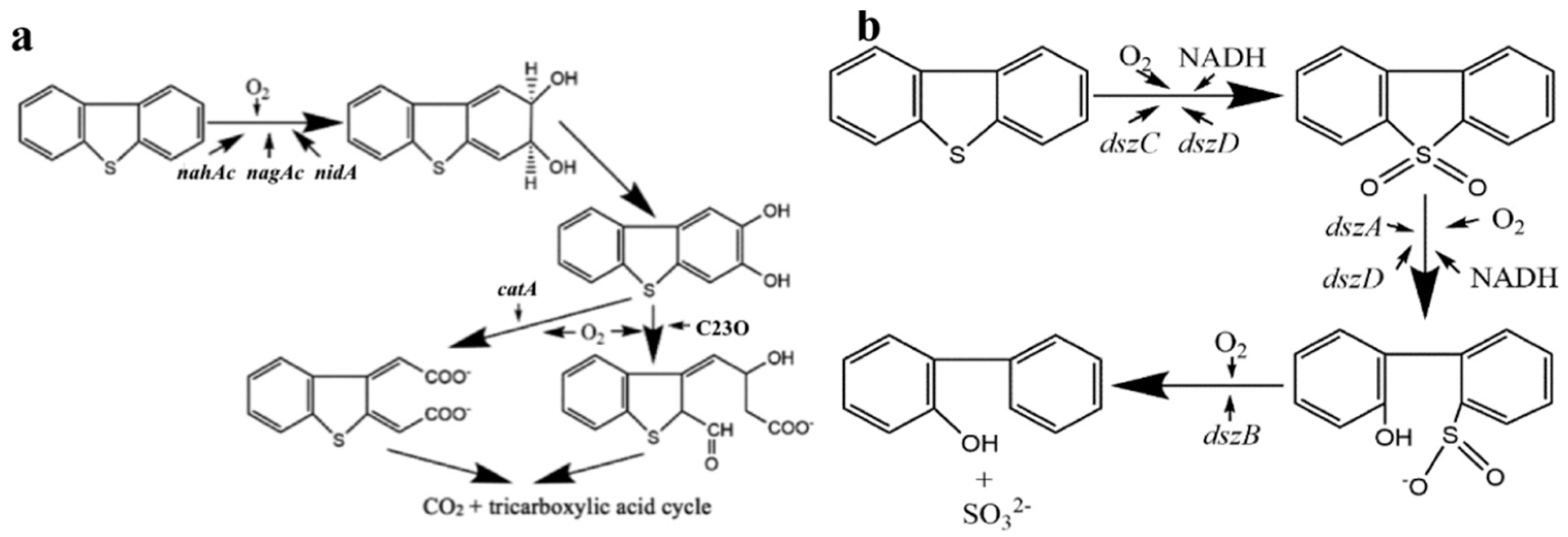 Energies 16 02738 g005 Energies 16 02738 g005