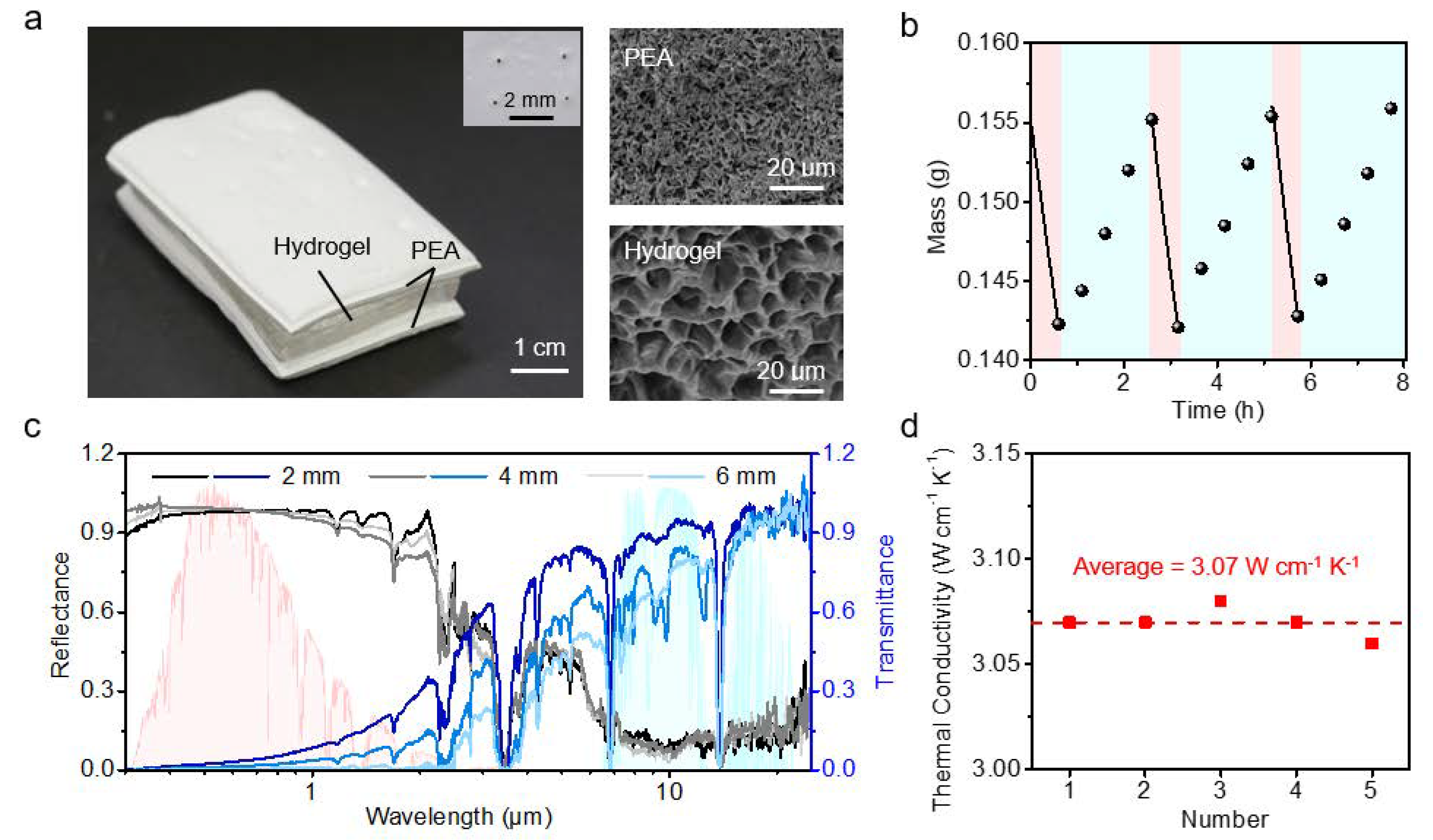 Energies 16 02750 g002 Energies 16 02750 g002