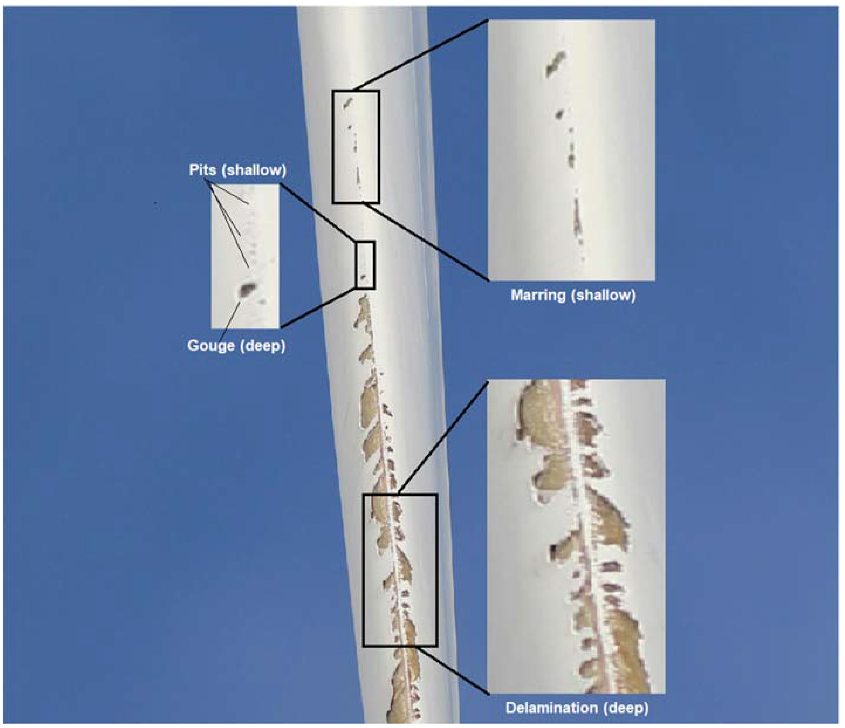 Energies 16 02820 g001