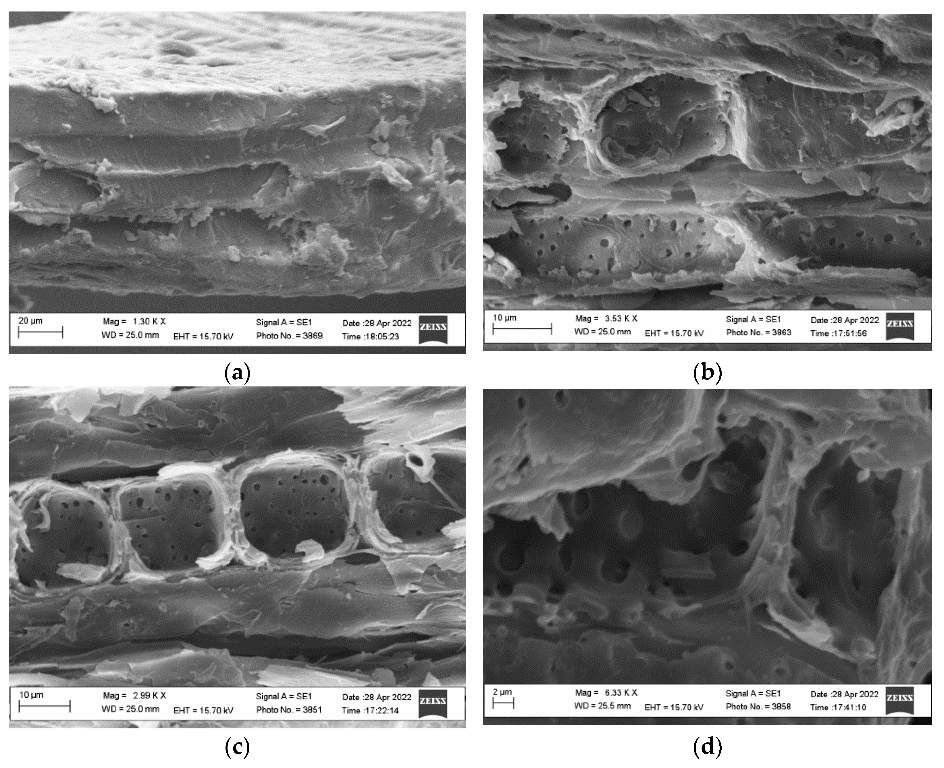 Energies 16 02835 g002 Energies 16 02835 g002