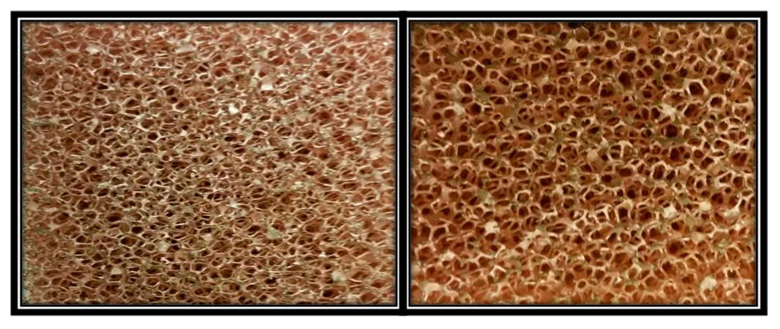 Energies 16 02841 g002