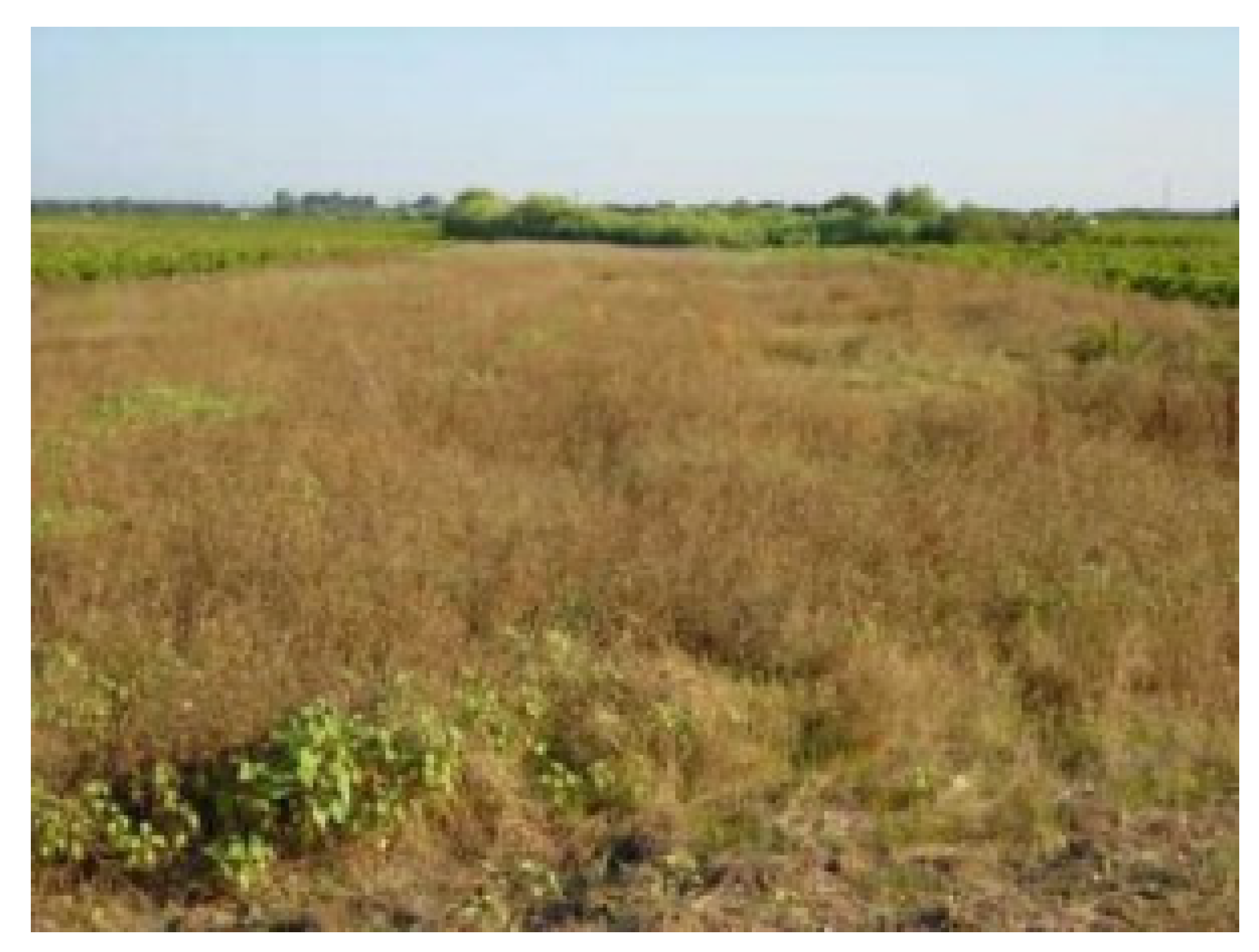 Energies 16 02991 g007 Energies 16 02991 g007