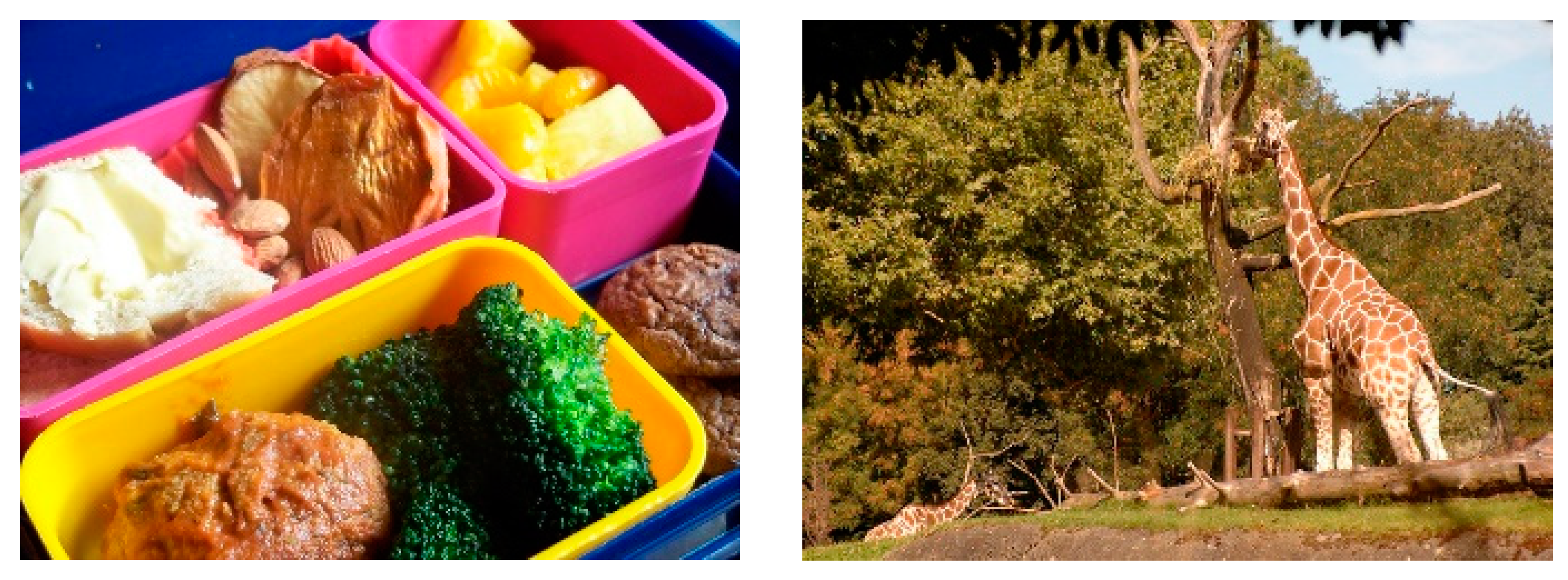 Energies 16 02996 g009