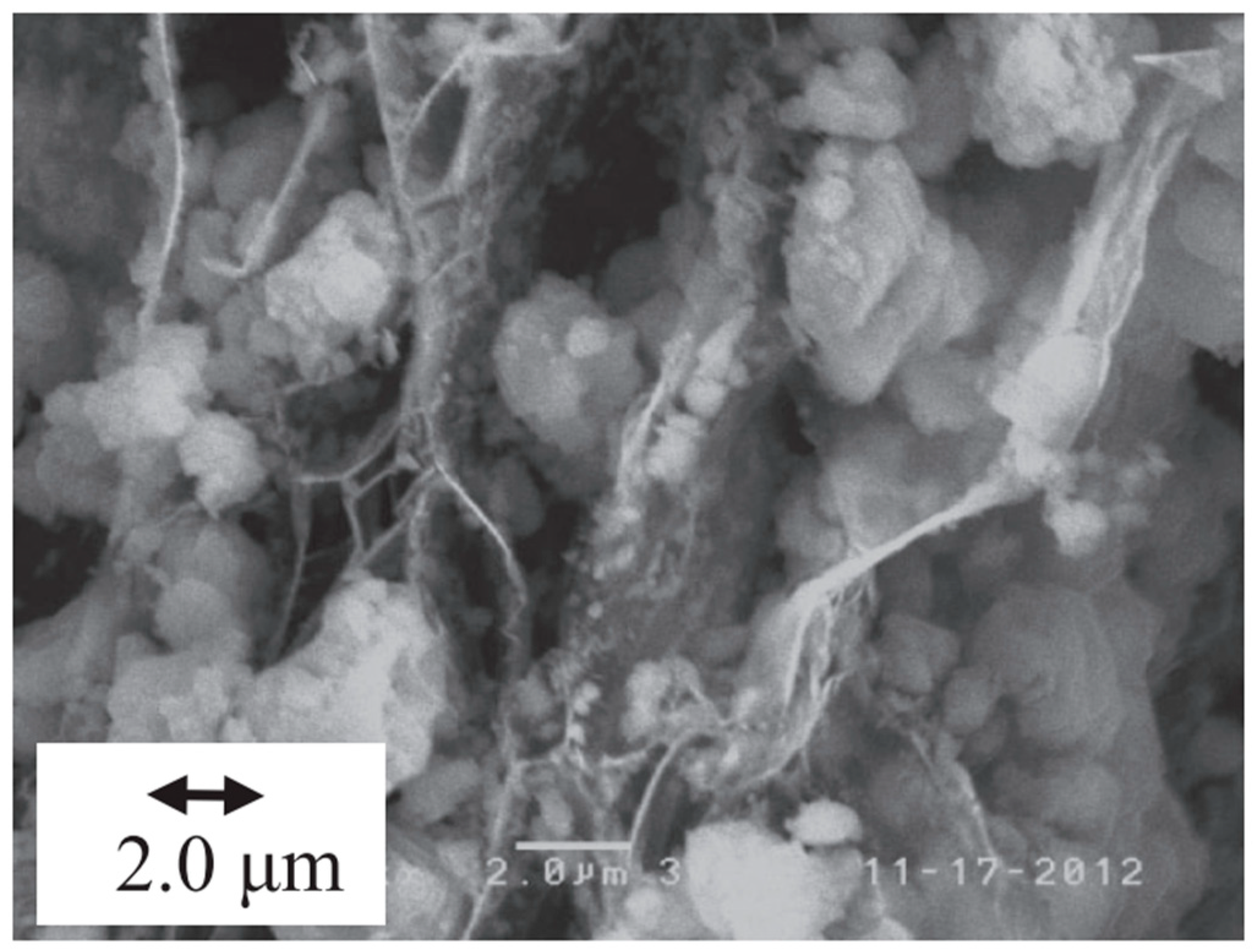 Energies 16 03019 g007