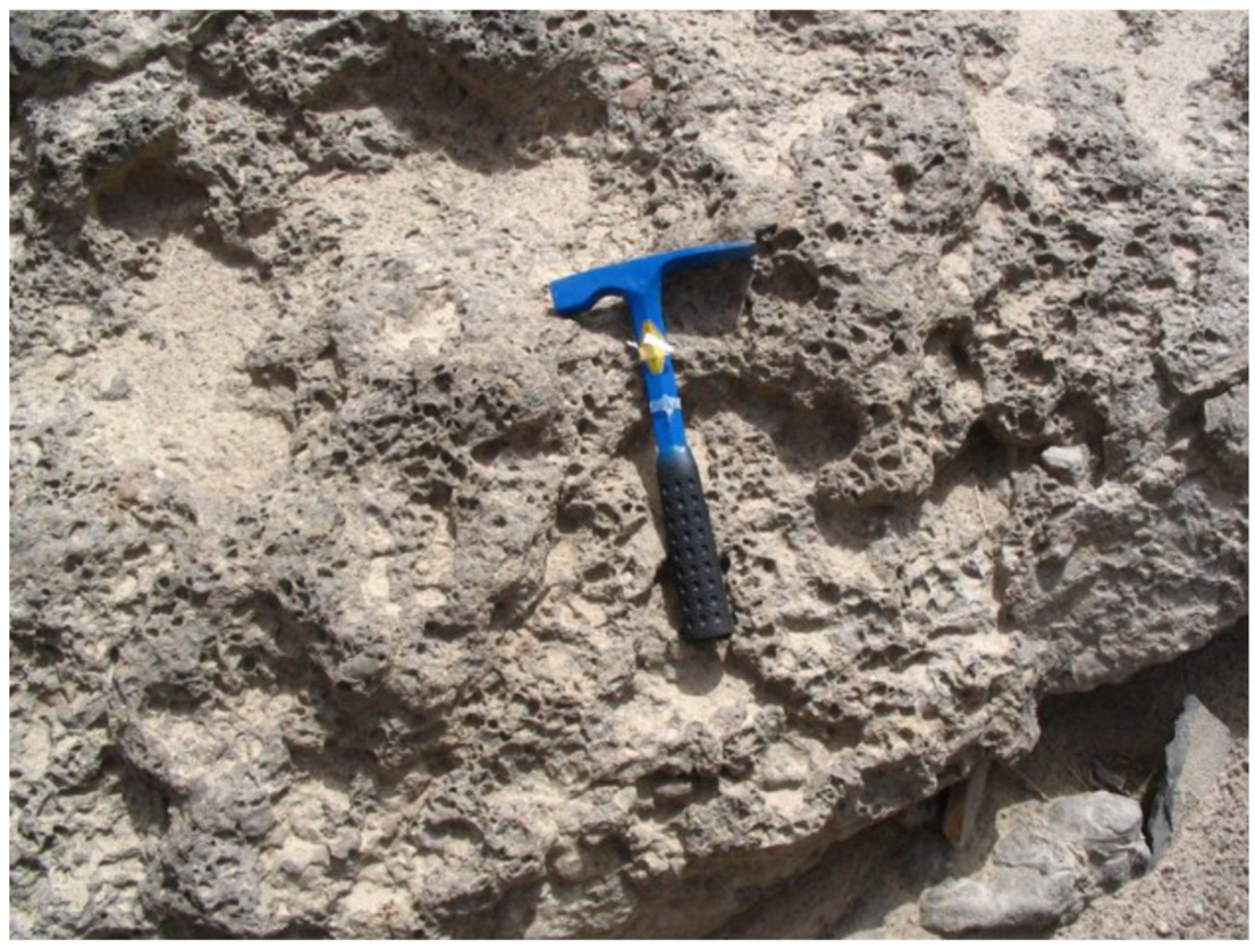 Energies 16 03041 g001 Energies 16 03041 g001