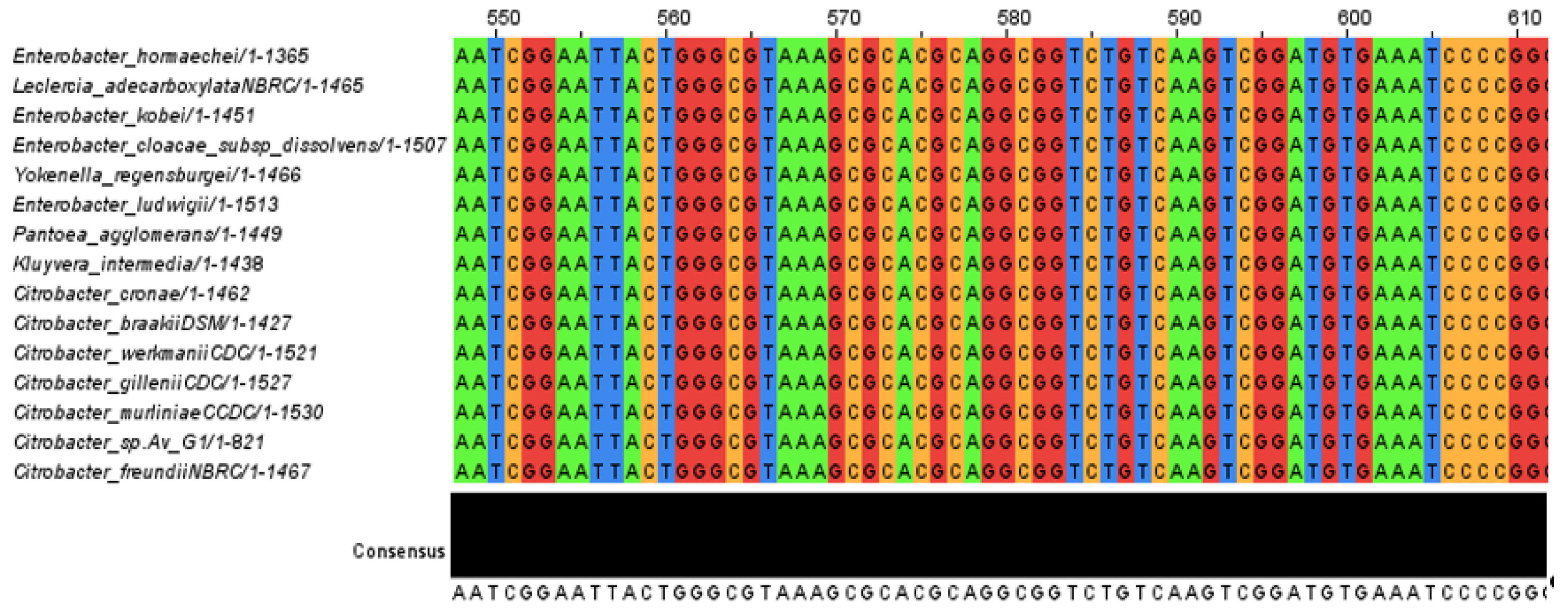 Energies 16 03047 g002 Energies 16 03047 g002