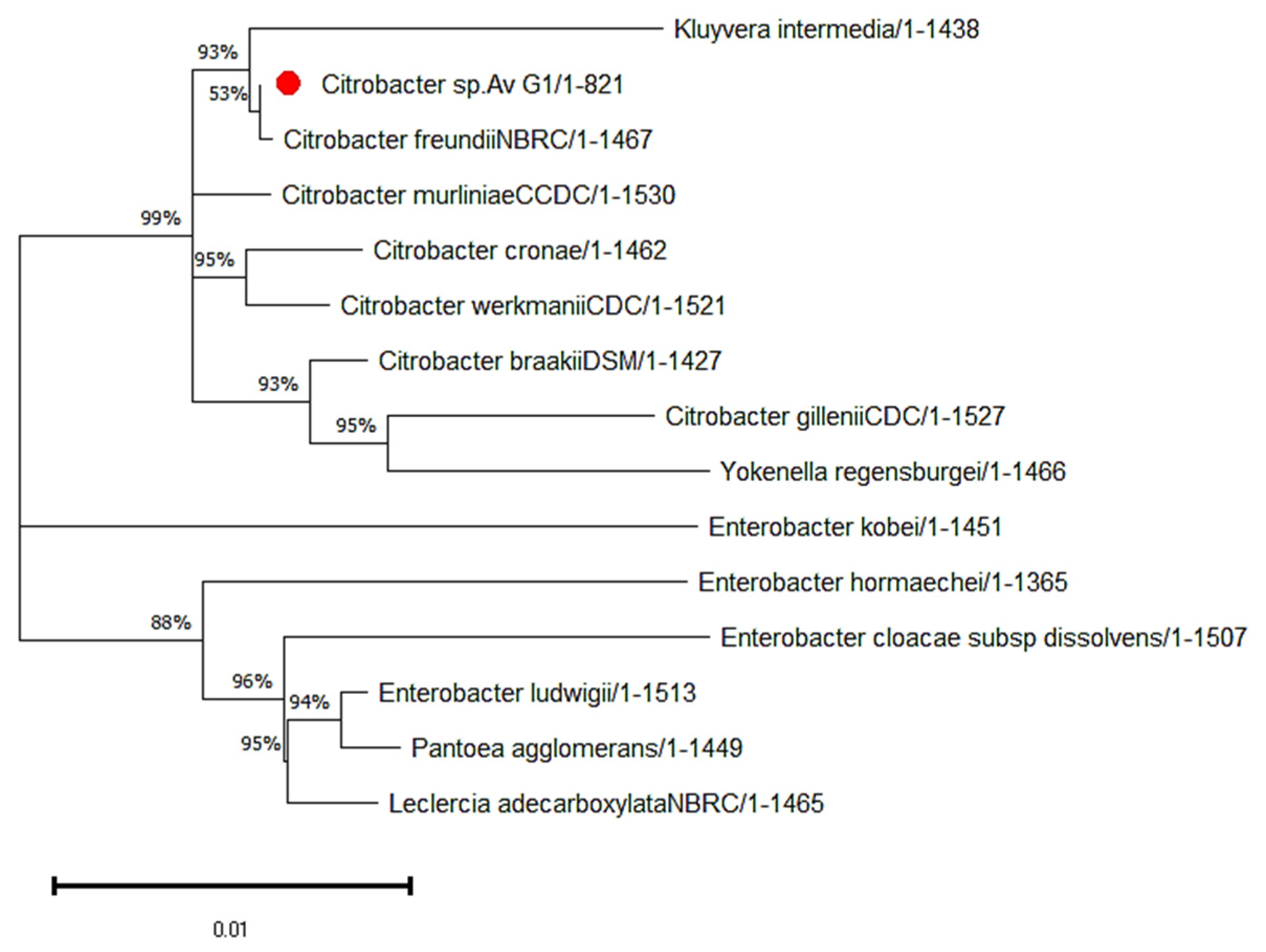 Energies 16 03047 g005 Energies 16 03047 g005