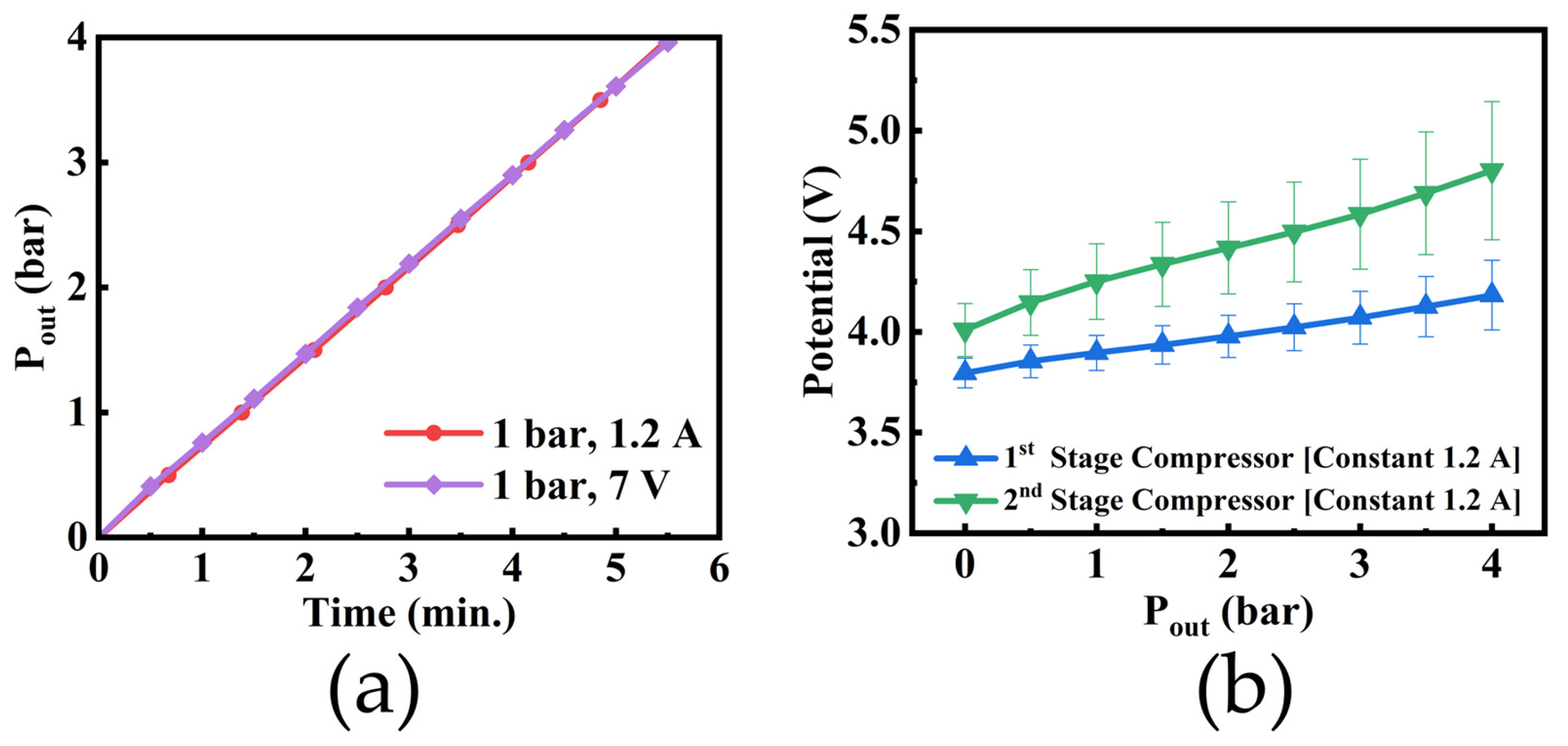 Preliminary Study for the Commercialization of a Electrochemical