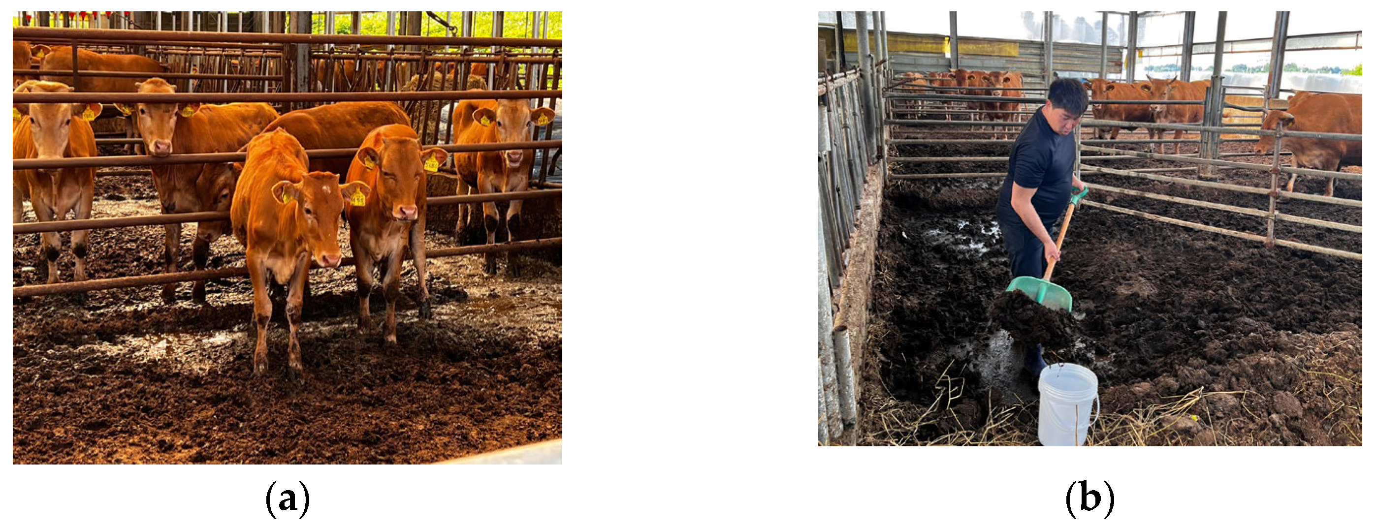 Energies 16 03265 g001