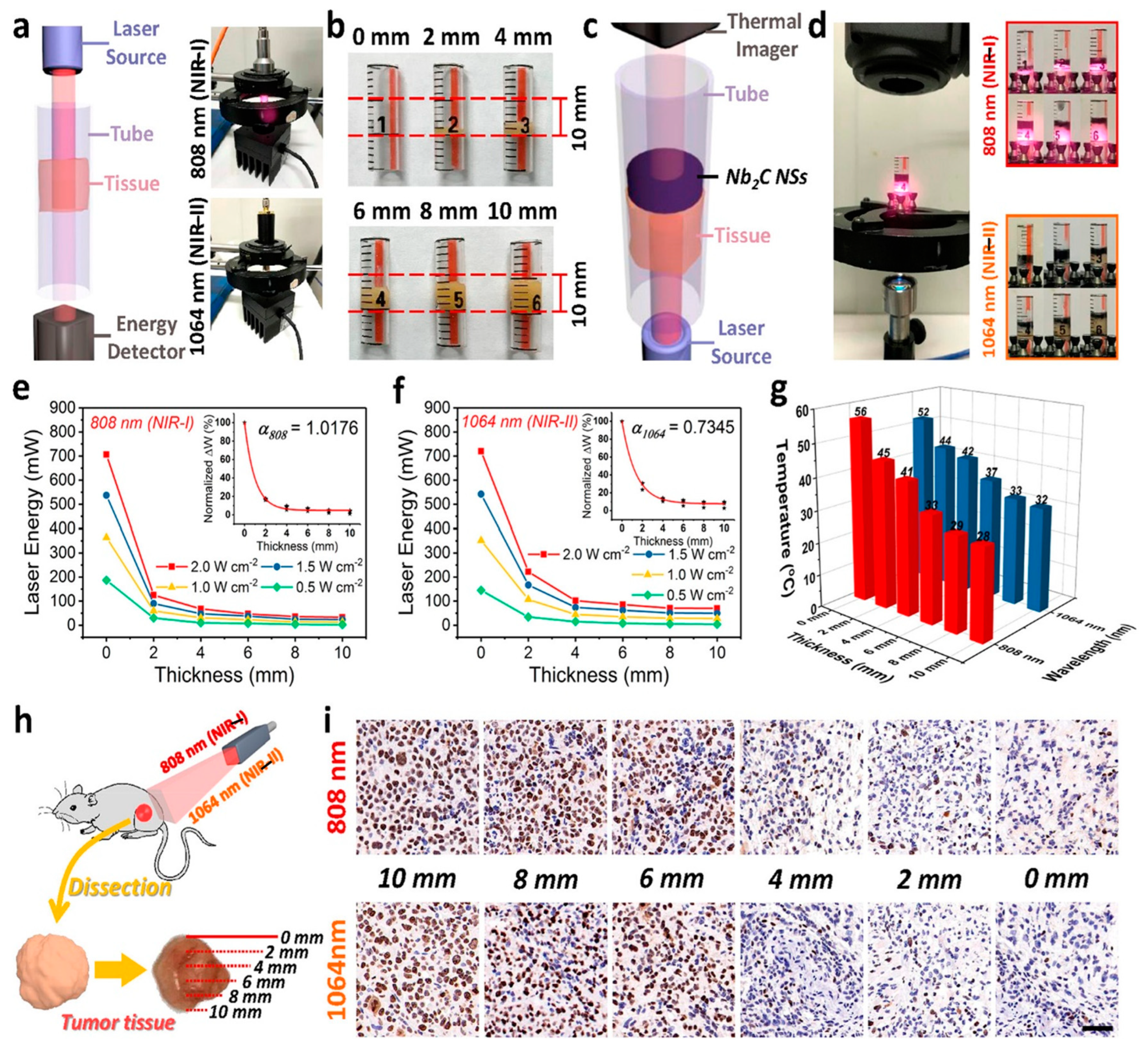 Energies 16 03520 g011 Energies 16 03520 g011