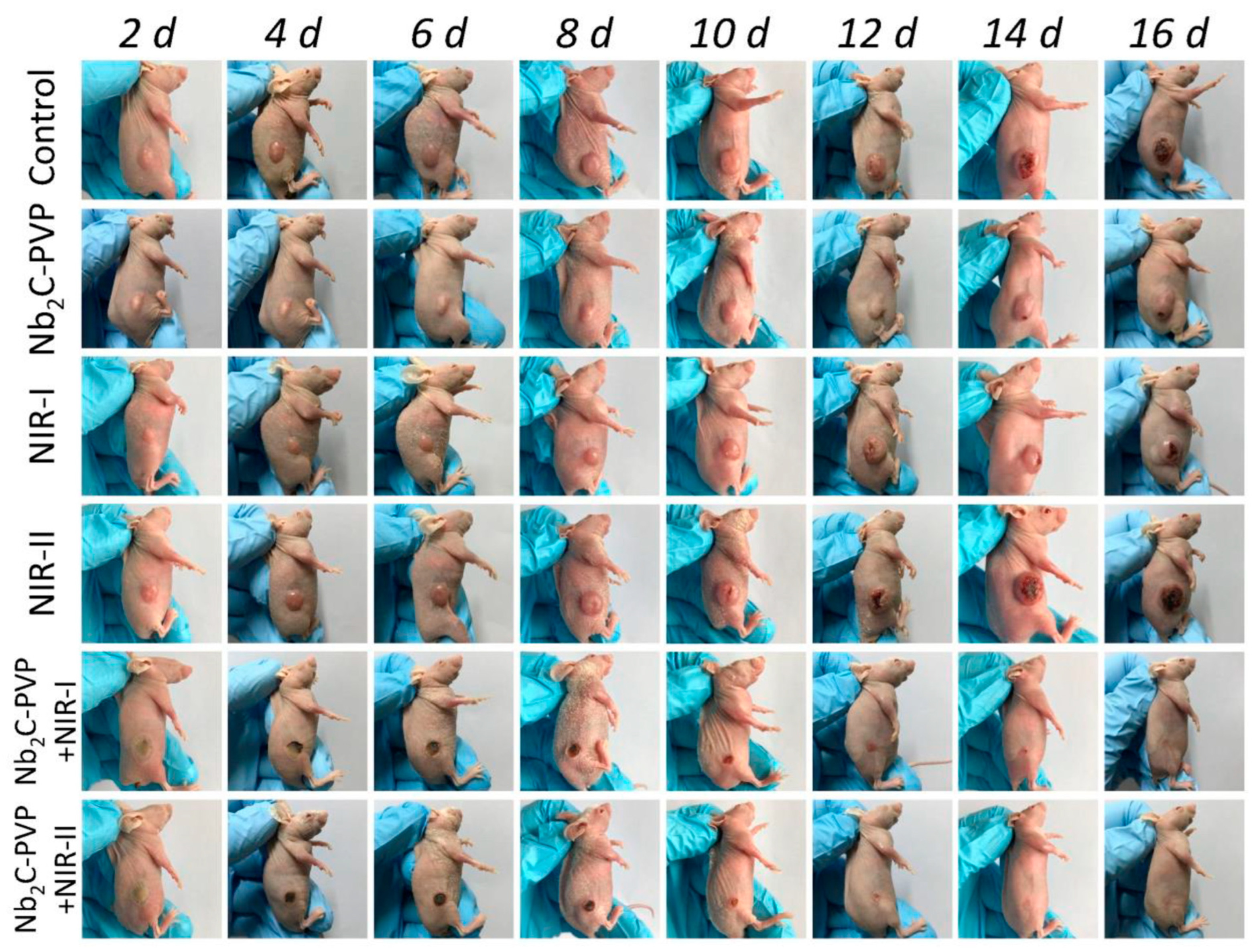 Energies 16 03520 g013 Energies 16 03520 g013