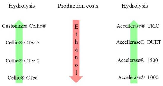 Cellulases: From Lignocellulosic Biomass to Improved Production