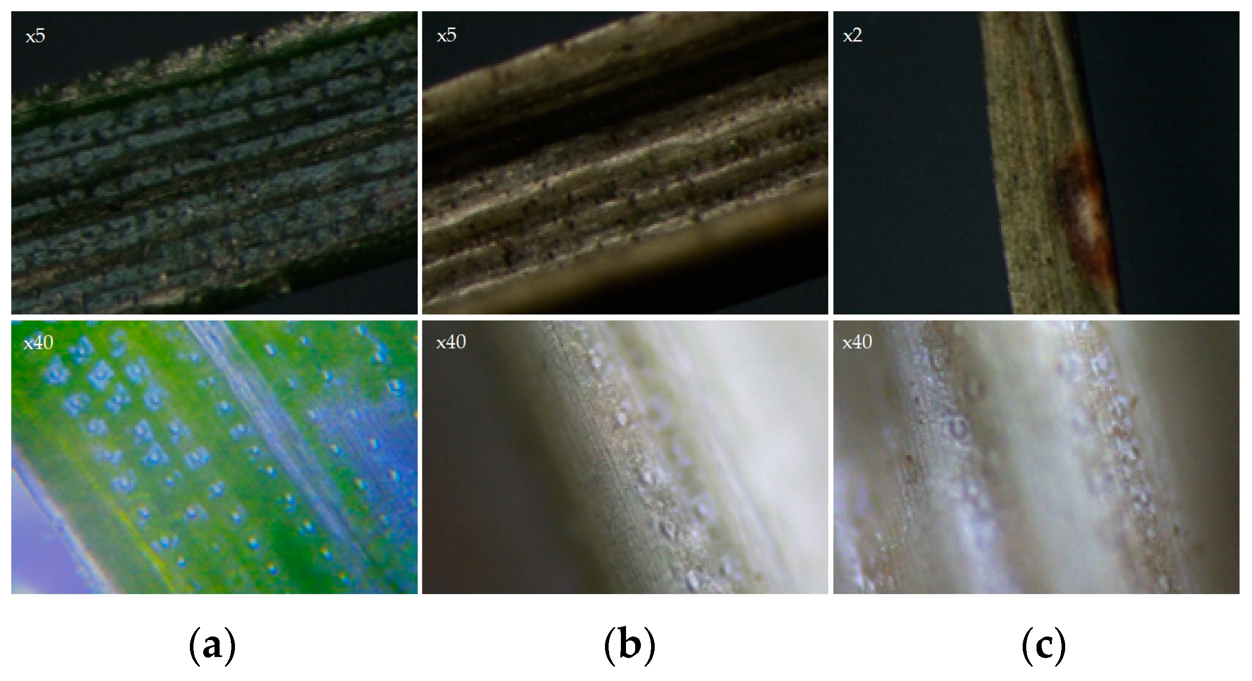 Energies 16 03634 g003 Energies 16 03634 g003