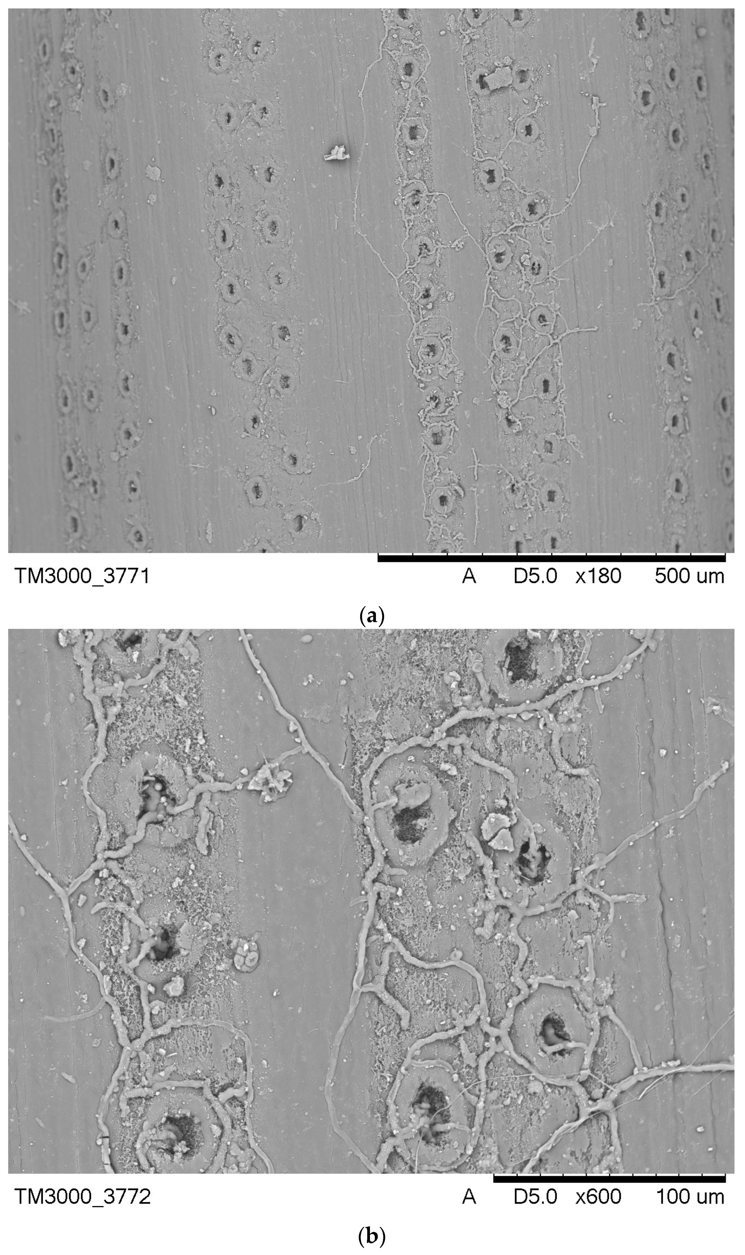 Energies 16 03634 g008a Energies 16 03634 g008a