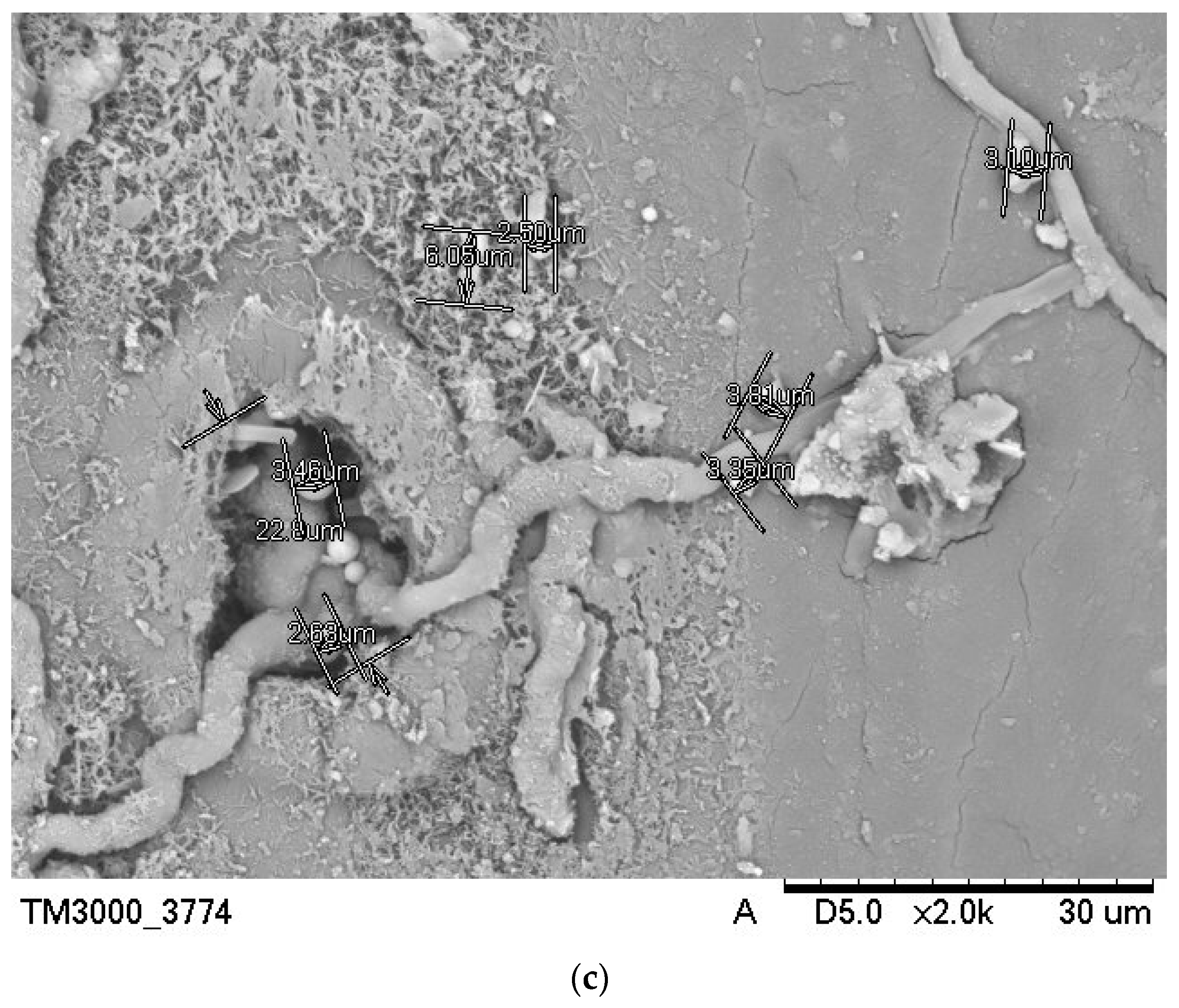 Energies 16 03634 g008b Energies 16 03634 g008b