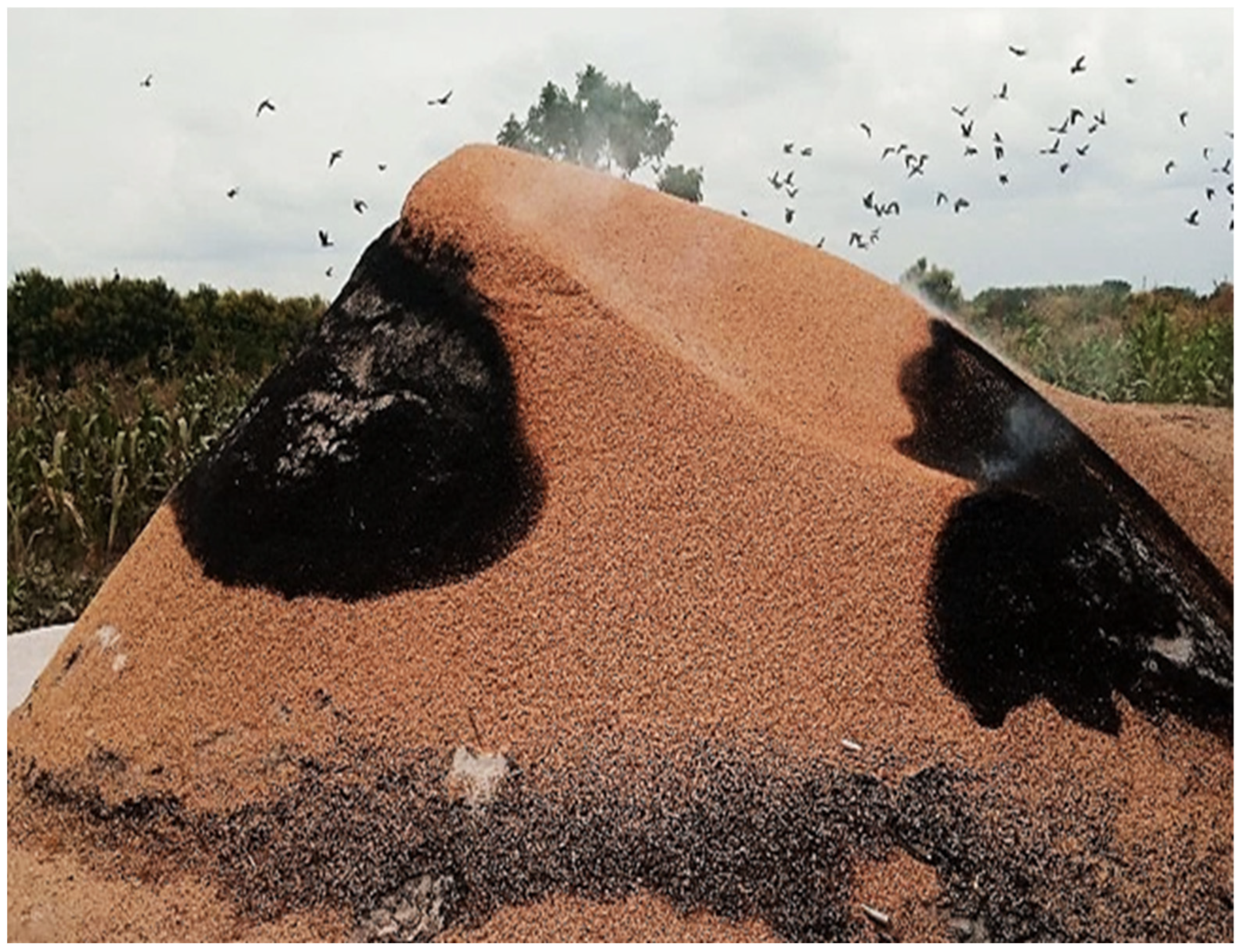 Energies 16 03679 g004