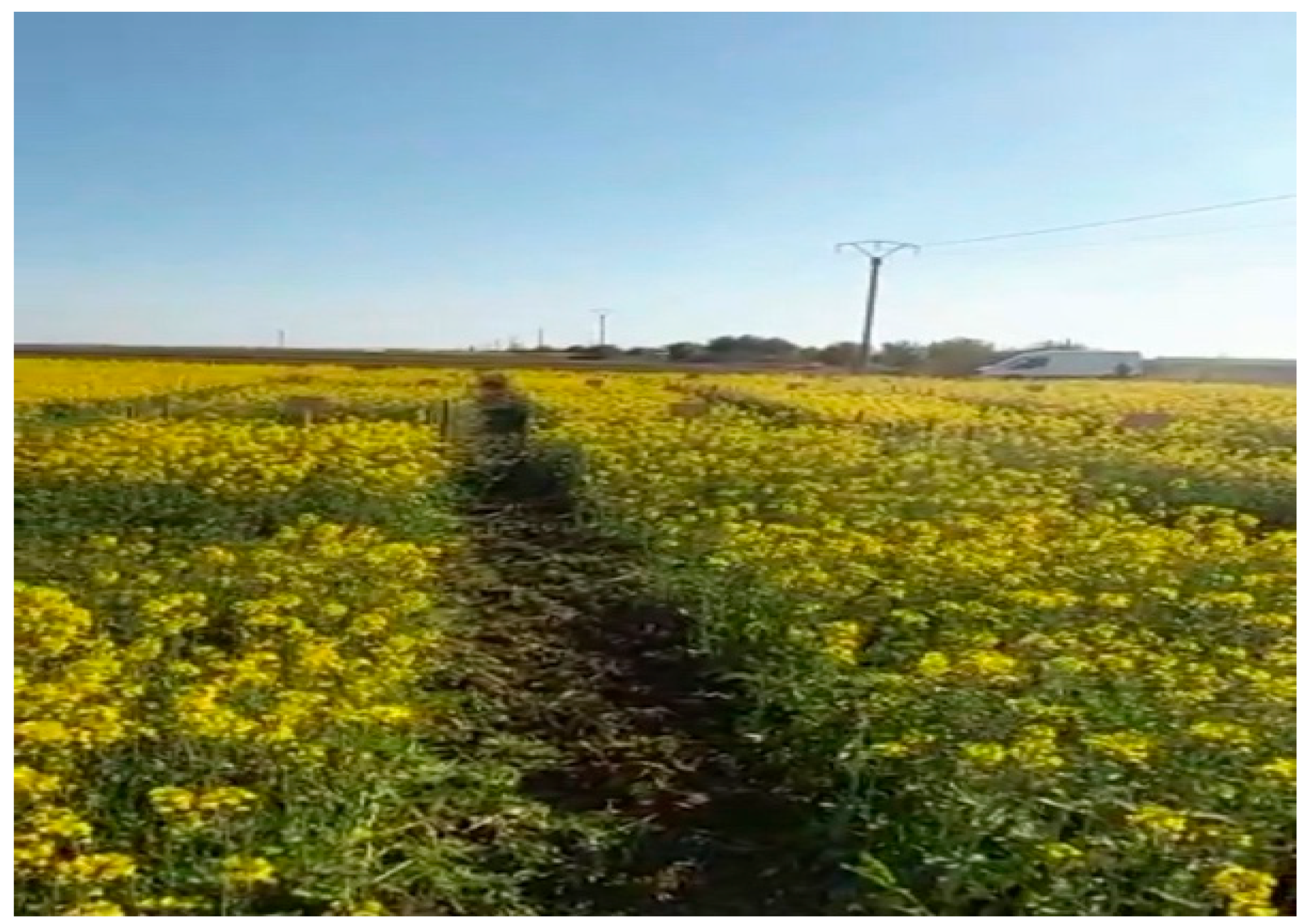 Energies 16 03728 g002 Energies 16 03728 g002