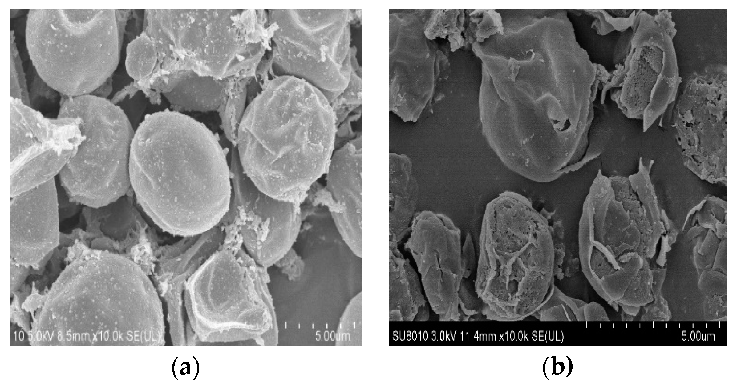 Energies 16 03806 g008 Energies 16 03806 g008